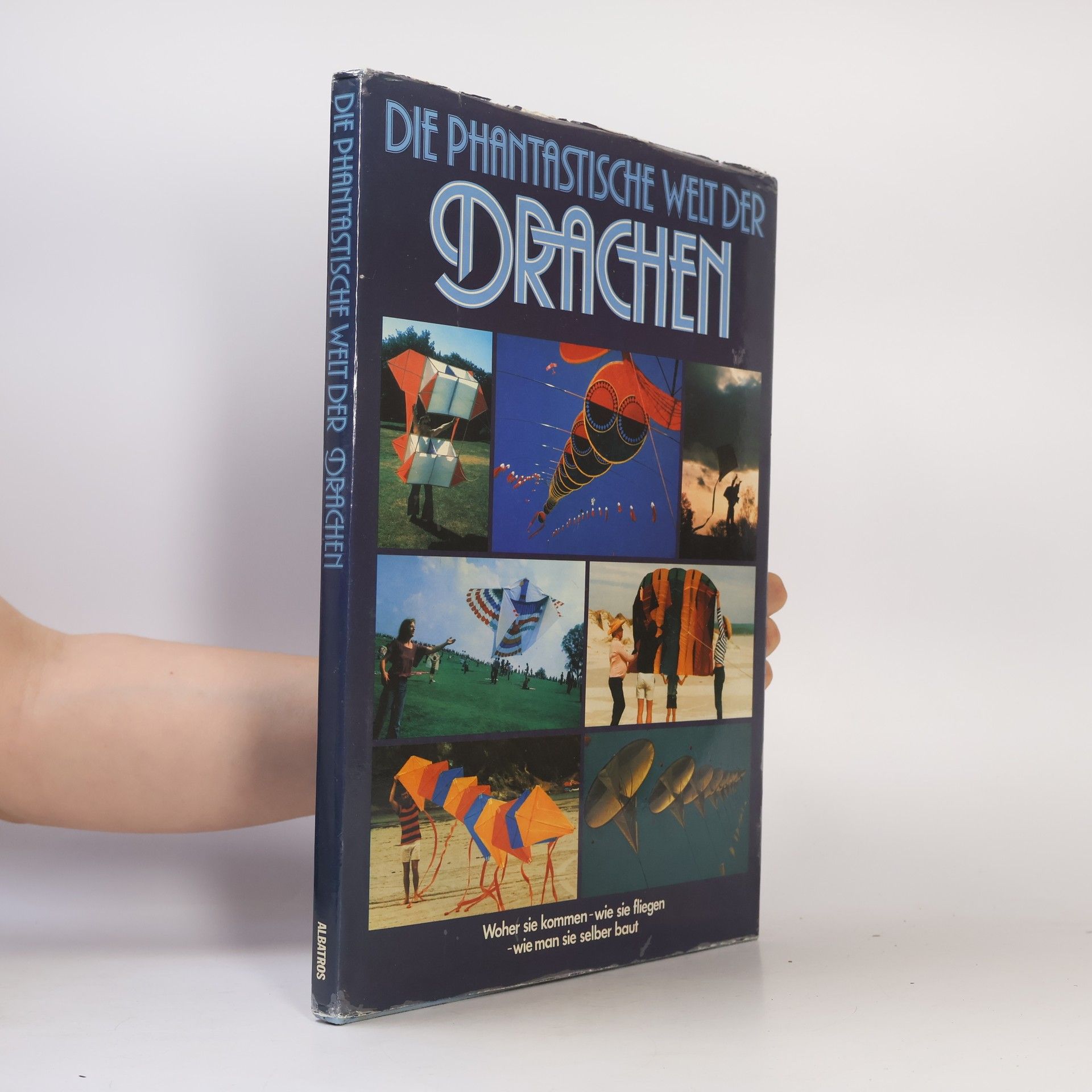 Autorenkollektiv Die phantastische Welt der Drachen