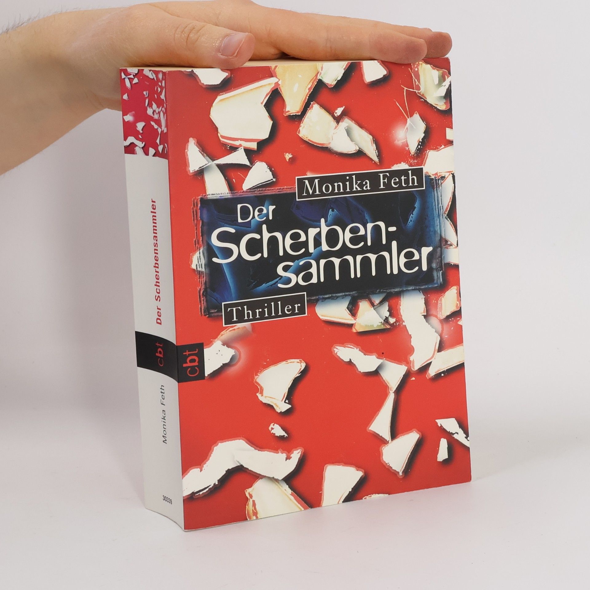 Monika Feth Der Scherbensammler