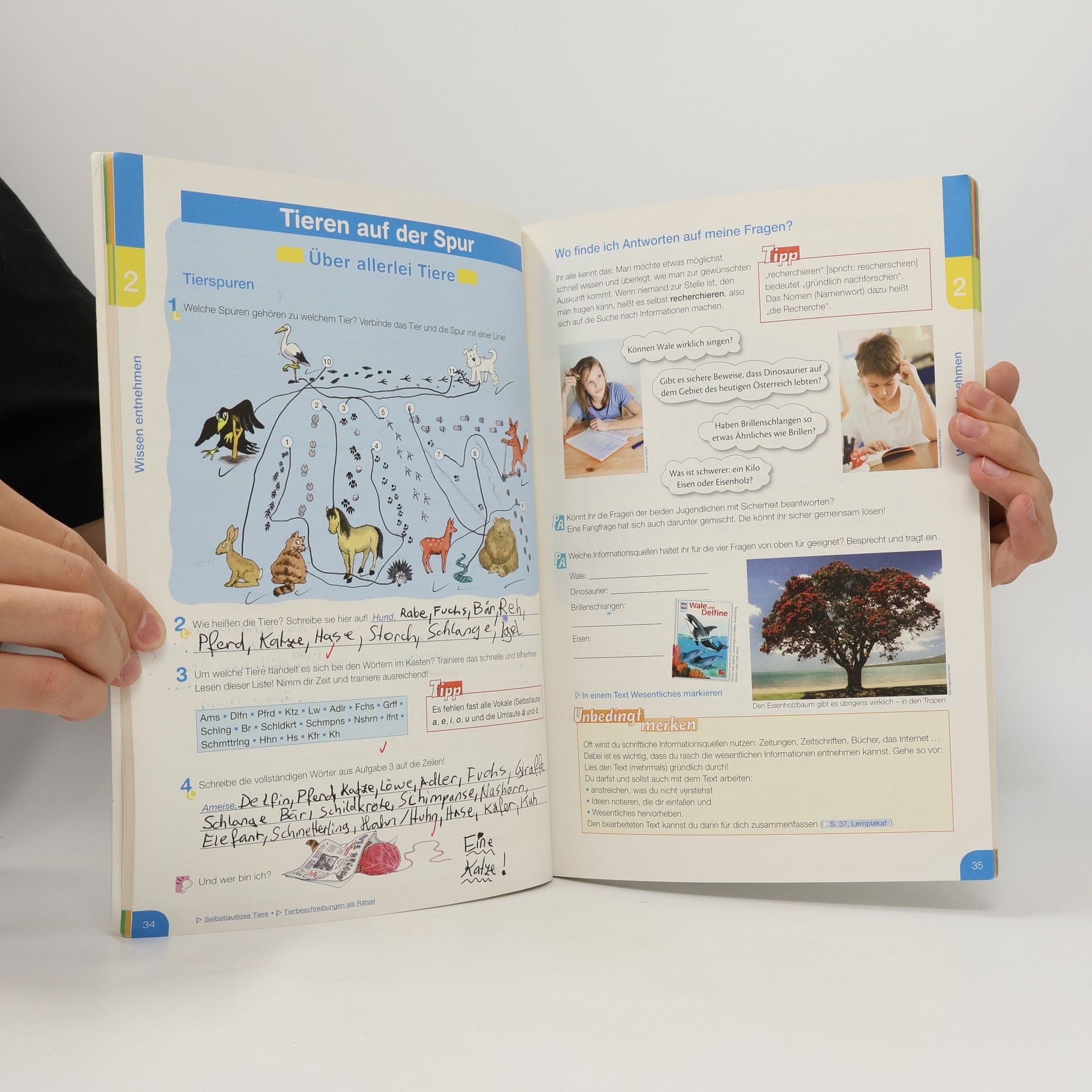Autorenkollektiv Deutschstunde Neu 1. Das Sprachbuch
