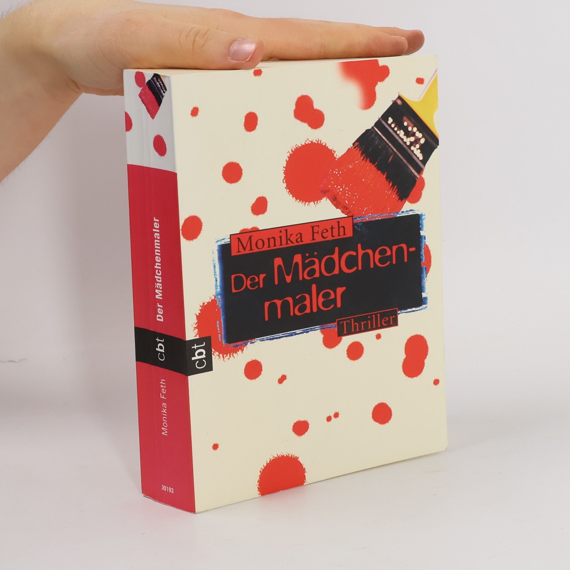 Monika Feth Der Mädchenmaler