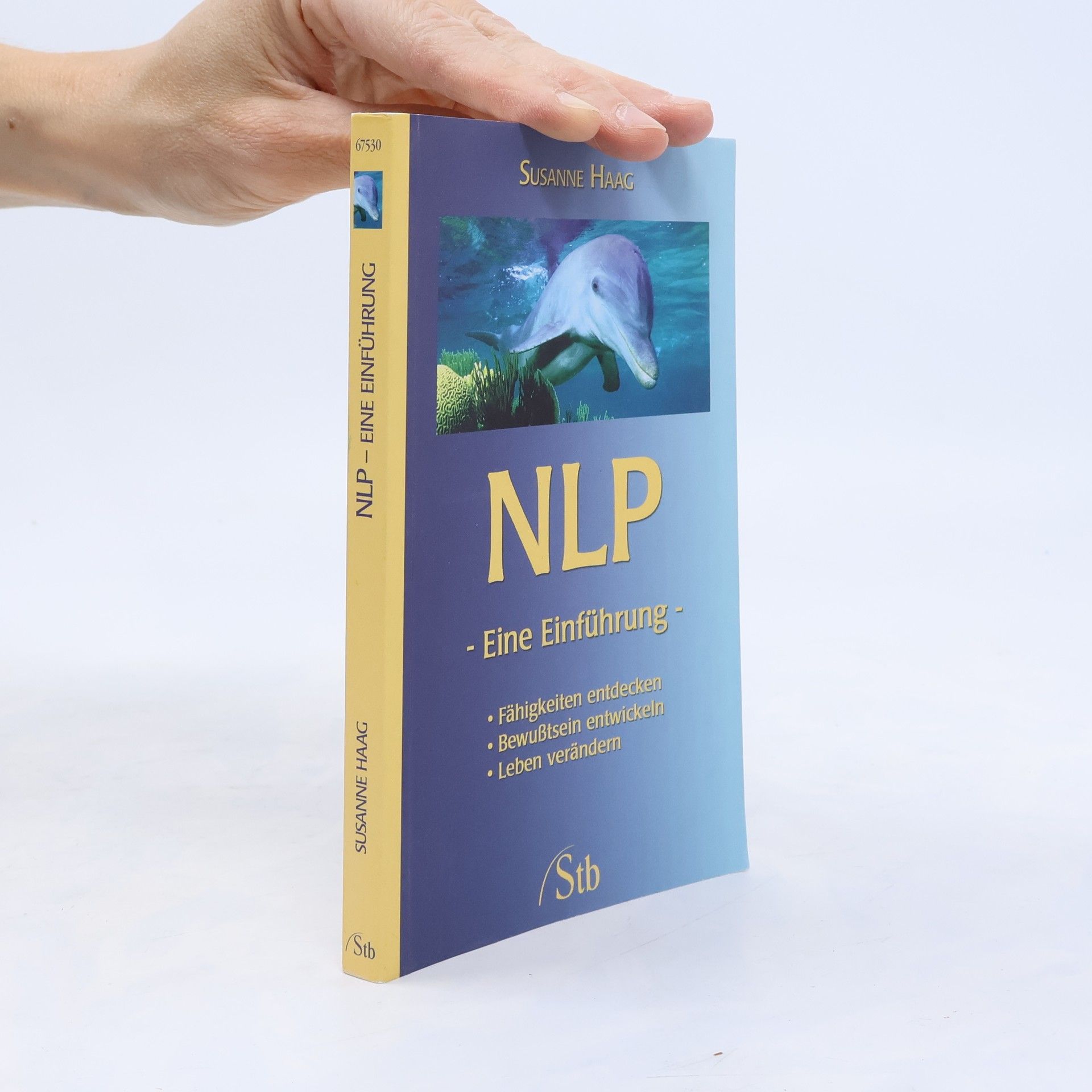 Susanne Haag NLP. Eine Einführung