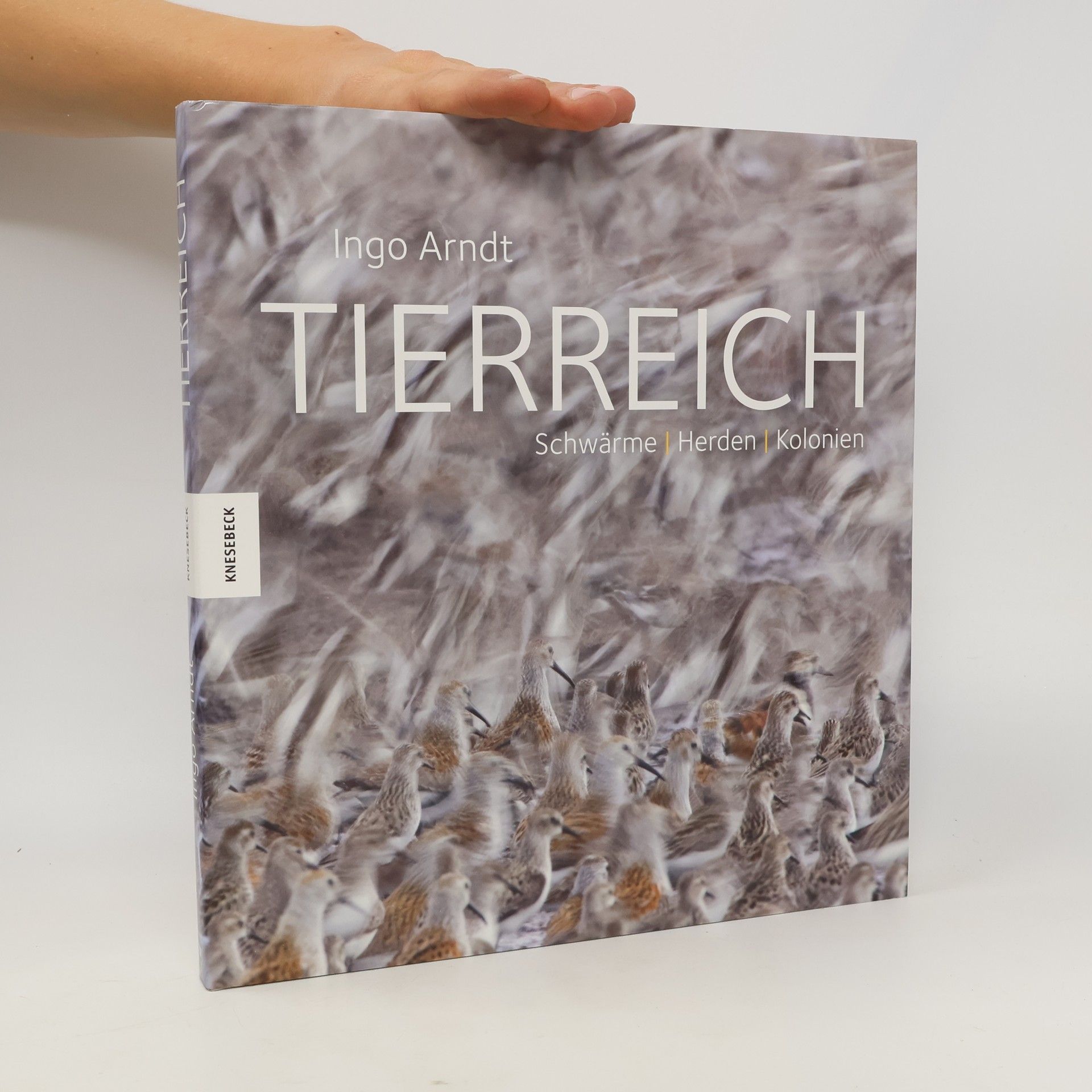 Claus-Peter Lieckfeld Tierreich