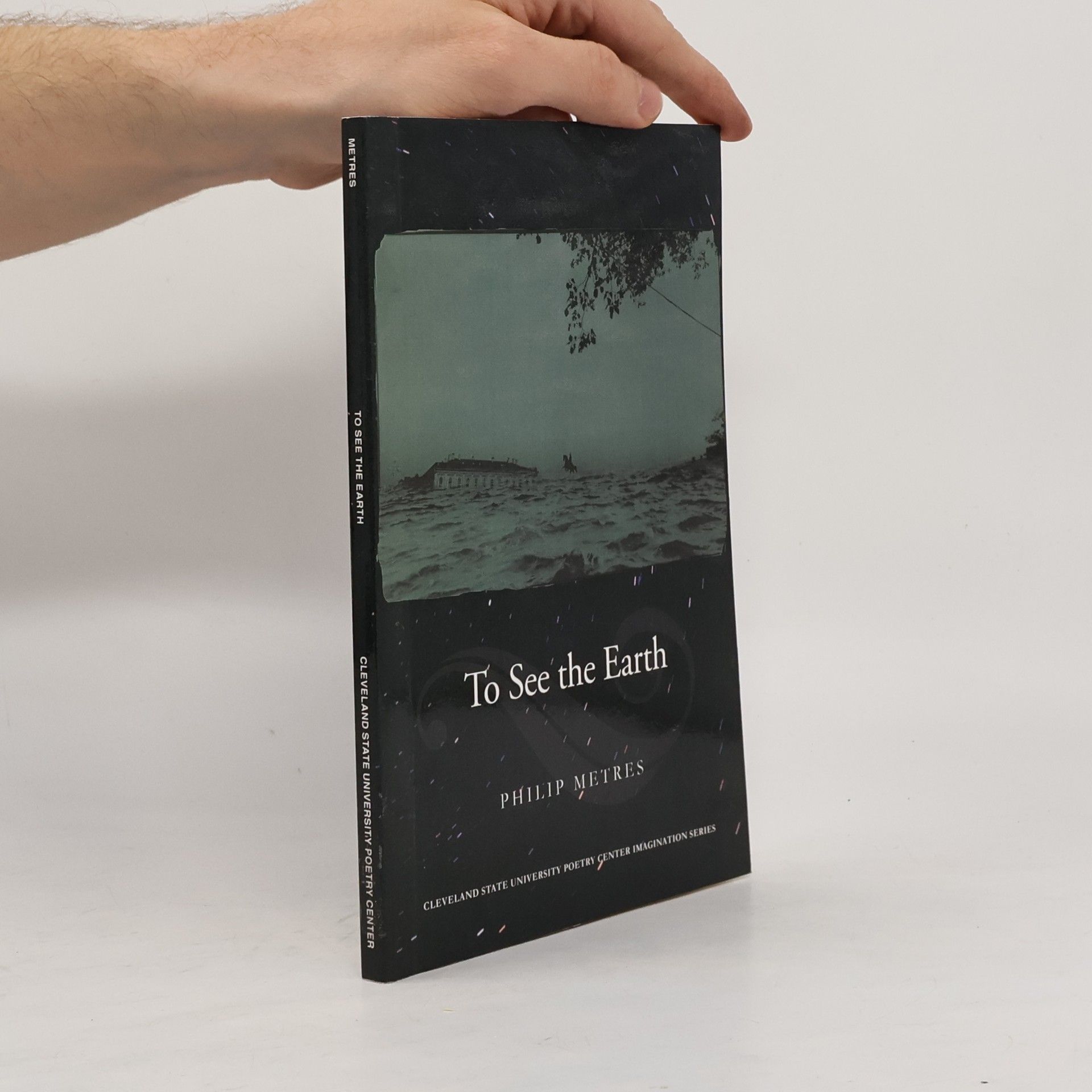 Philip Metres To See the Earth