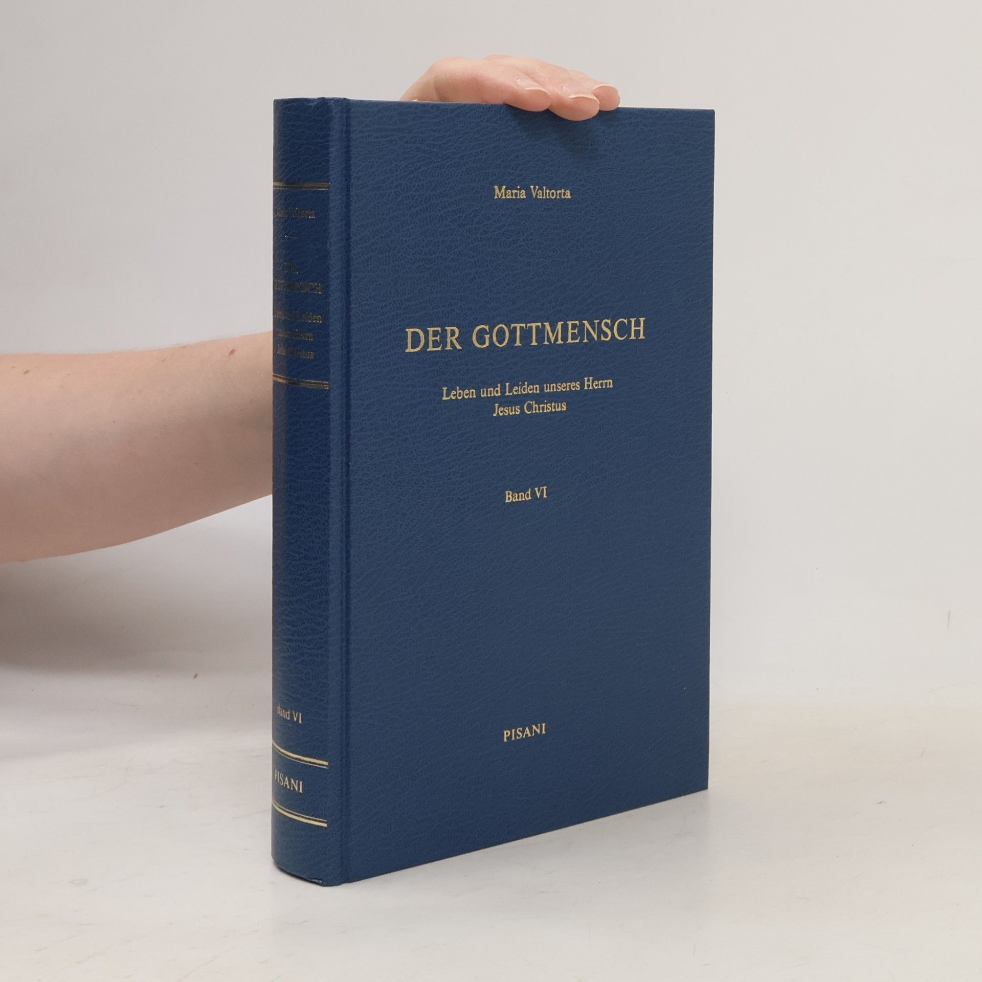 Maria Valtoria Der Gottmensch. Band VI