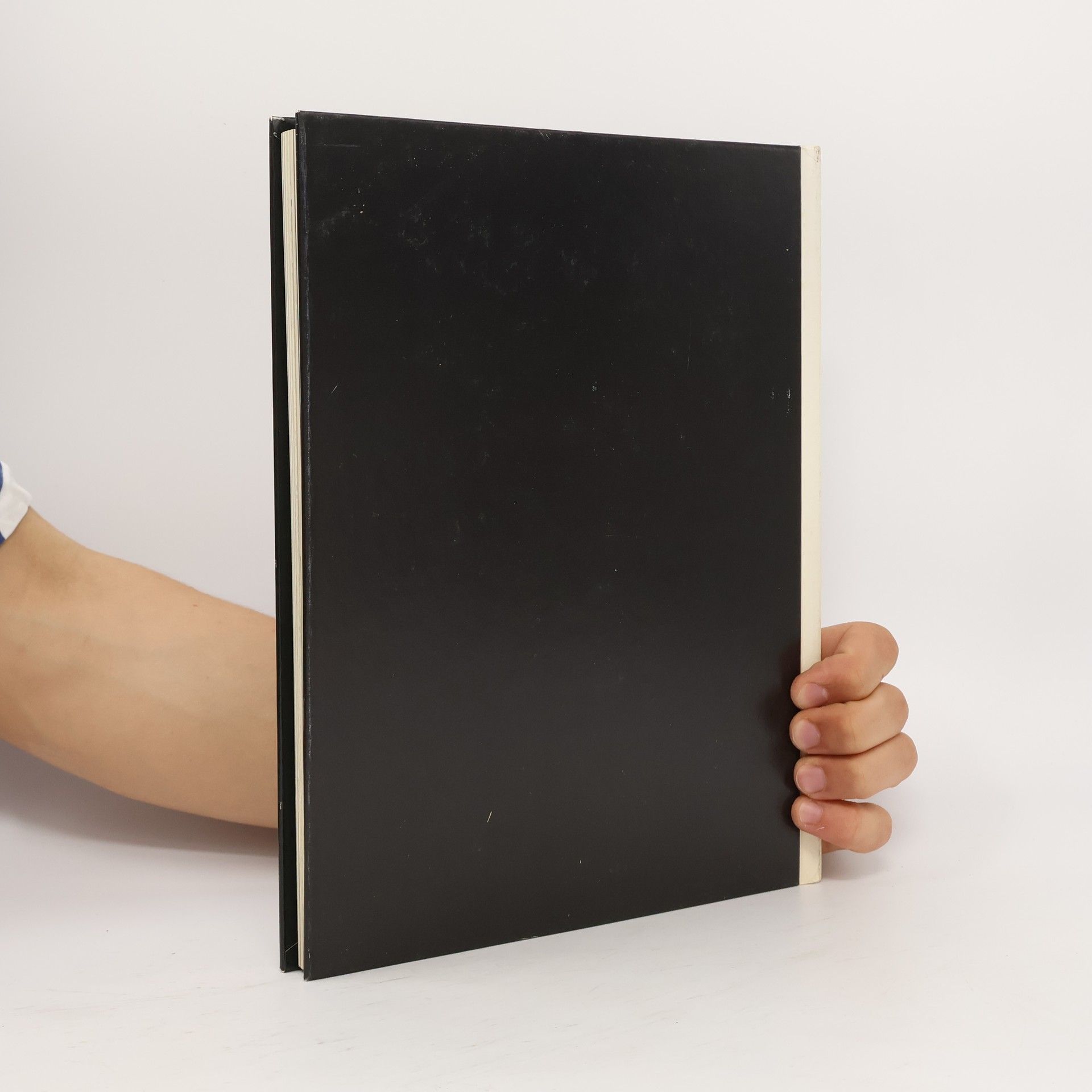 Autores varios Die Küche in Japan