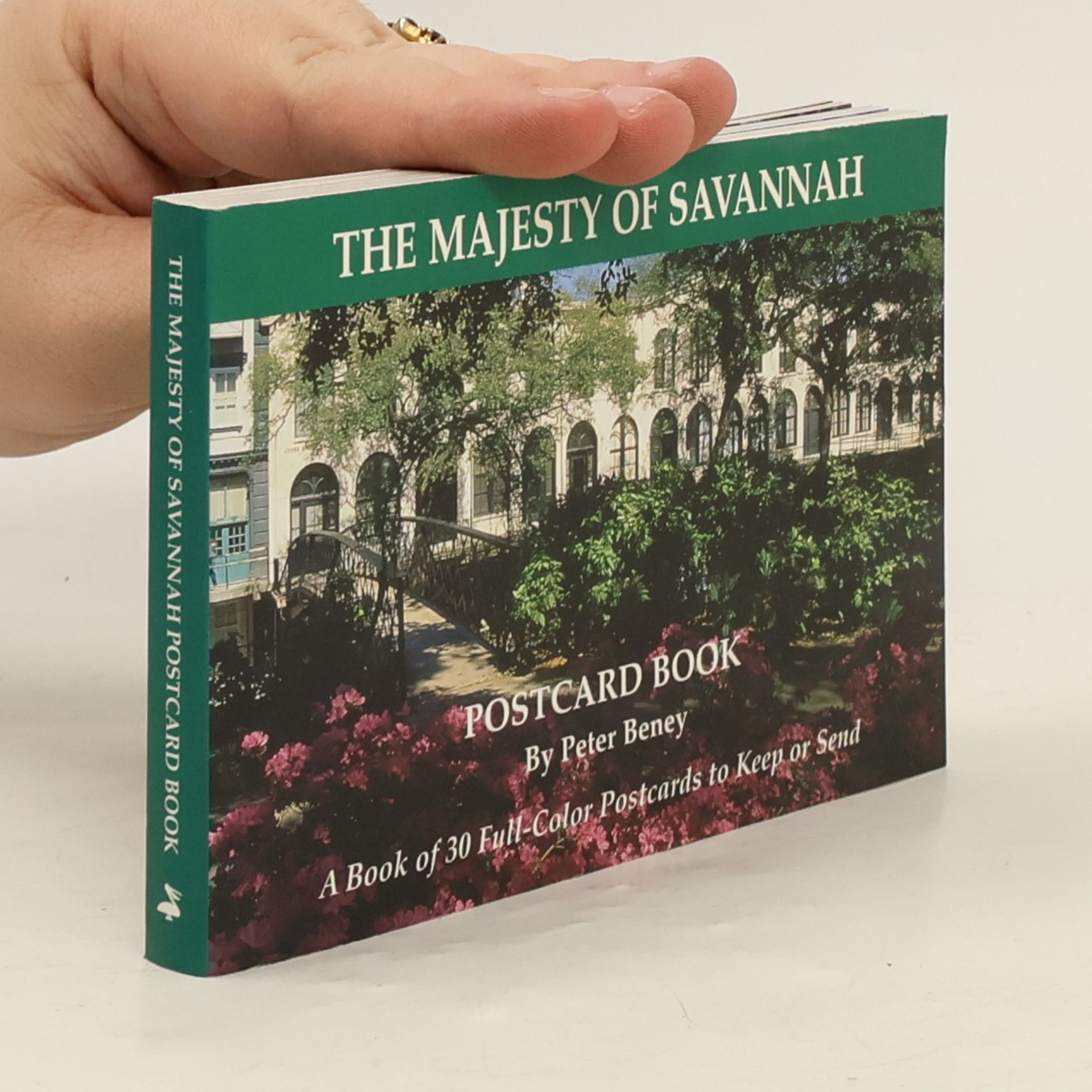 Peter Beney The Majesty of Savannah (GA)
