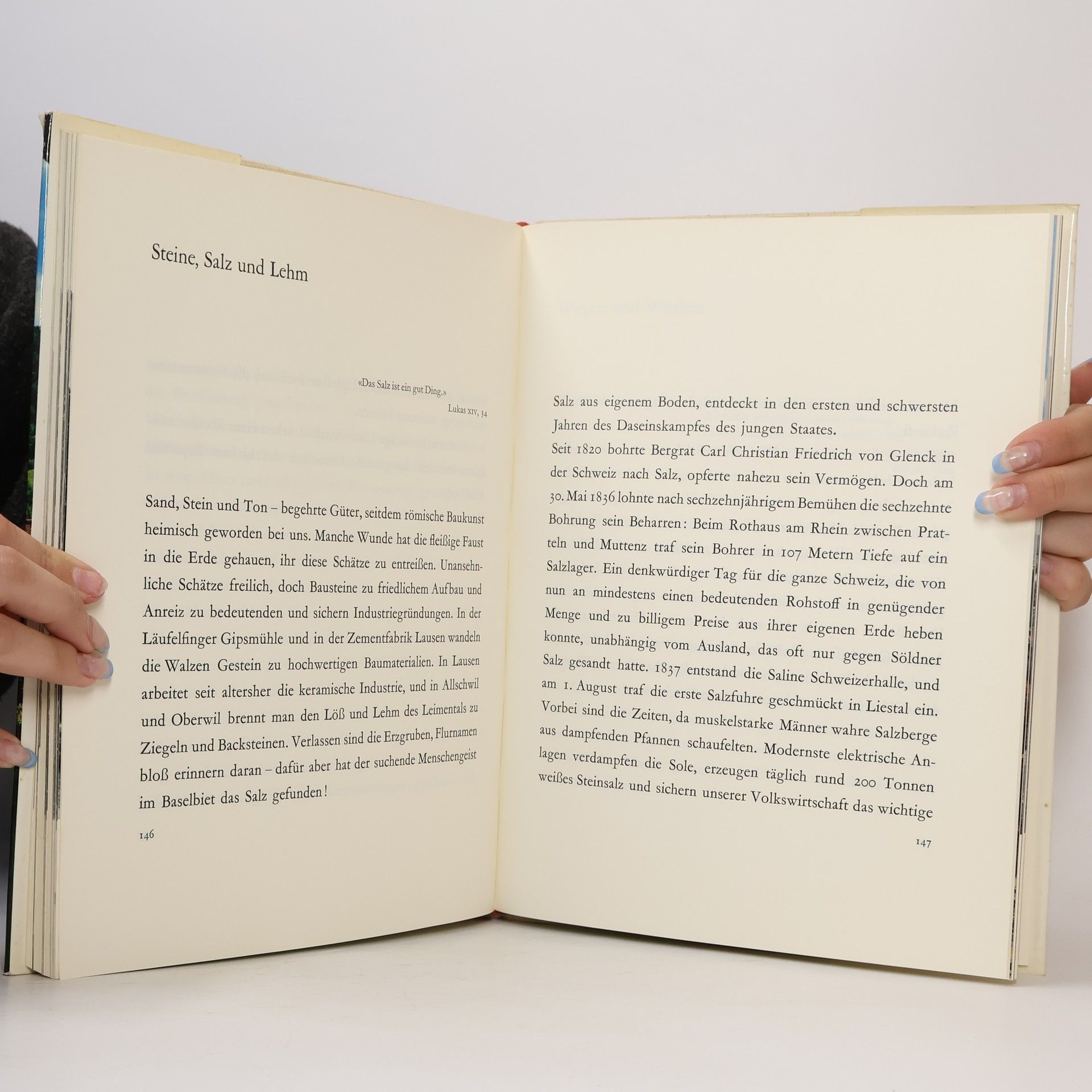 Fritz Klaus Baselland: Zwischen Strom und Berg