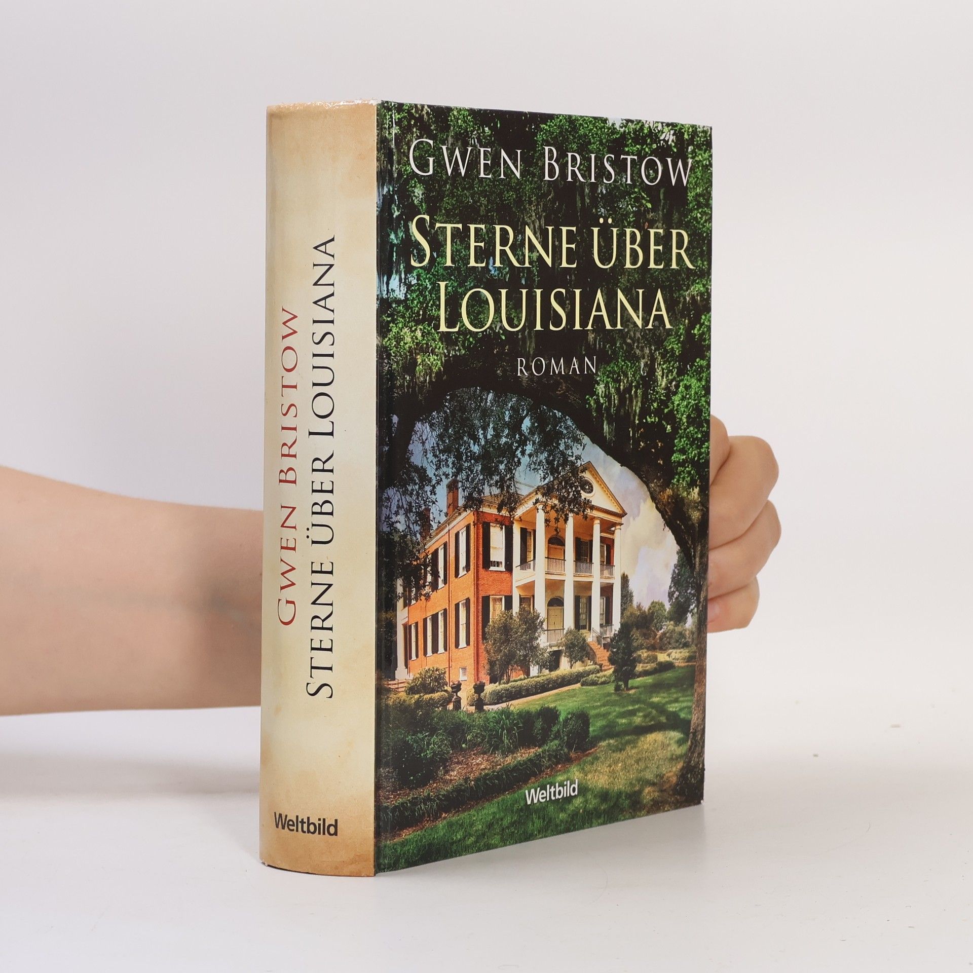 Gwen Bristow Louisiana-Trilogie 1. Tiefer Süden