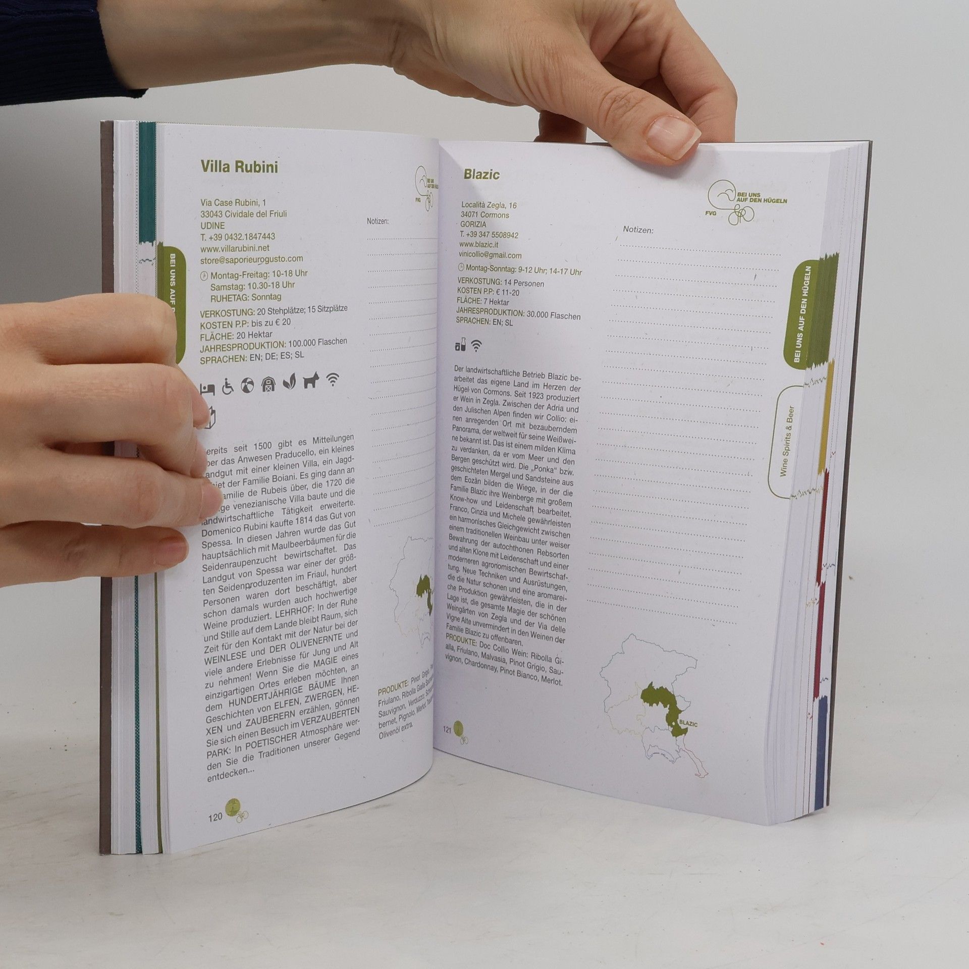 Autorenkollektiv Strada vino e sapori Friuli Venezia Giulia