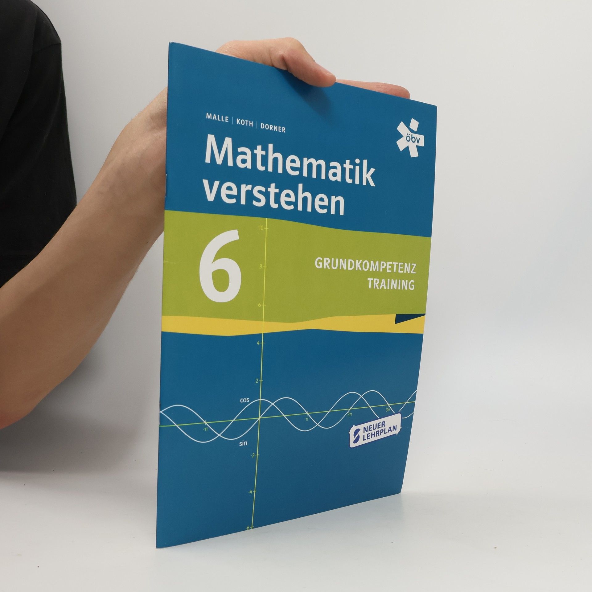 Günther Malle Mathematik verstehen 6 Grundkompetenztraining