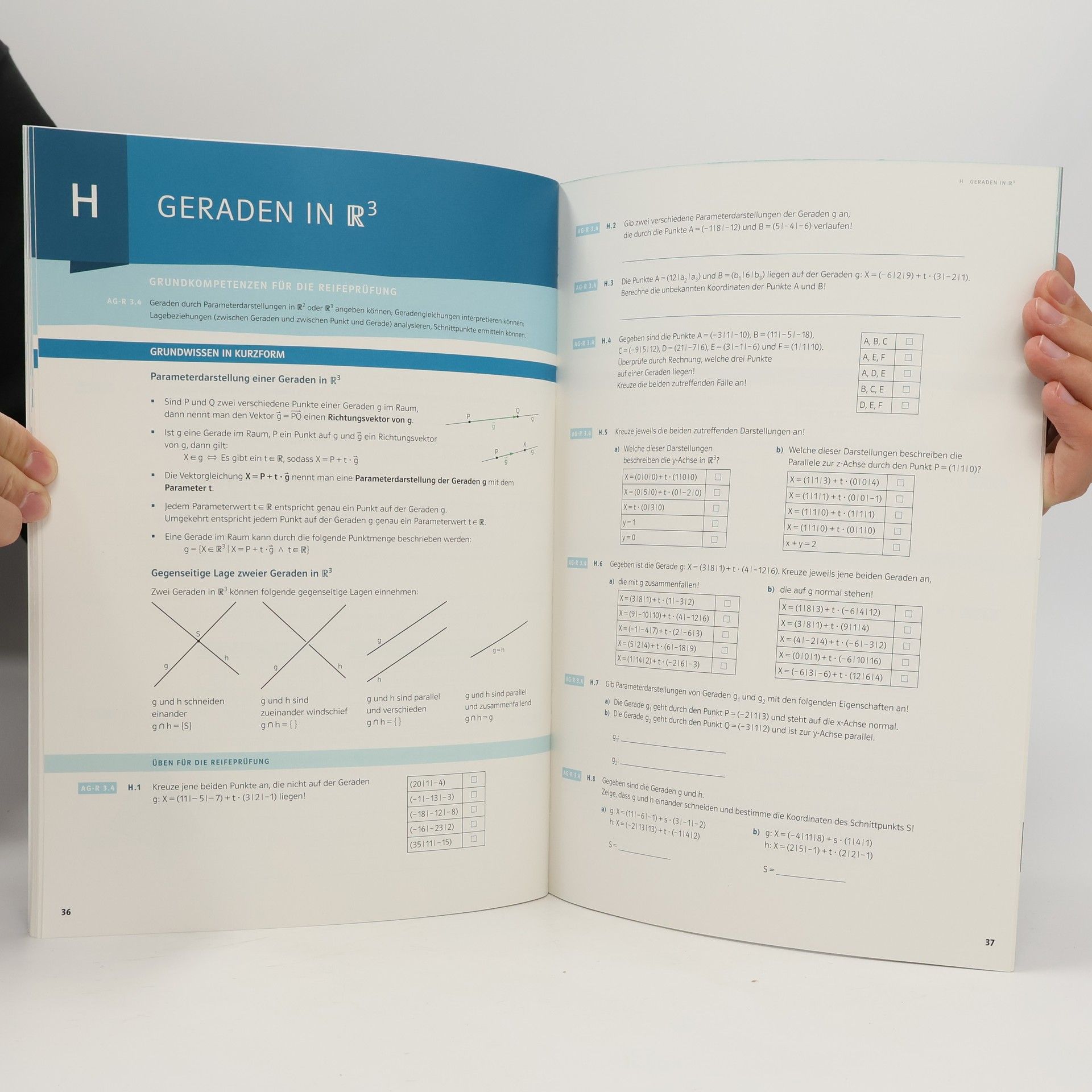 Günther Malle Mathematik verstehen 6 Grundkompetenztraining