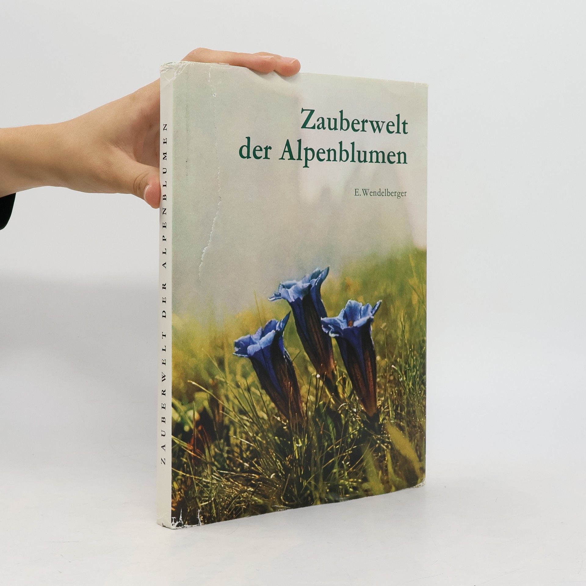 Kolektív autorov Zauberwelt der Alpenblumen