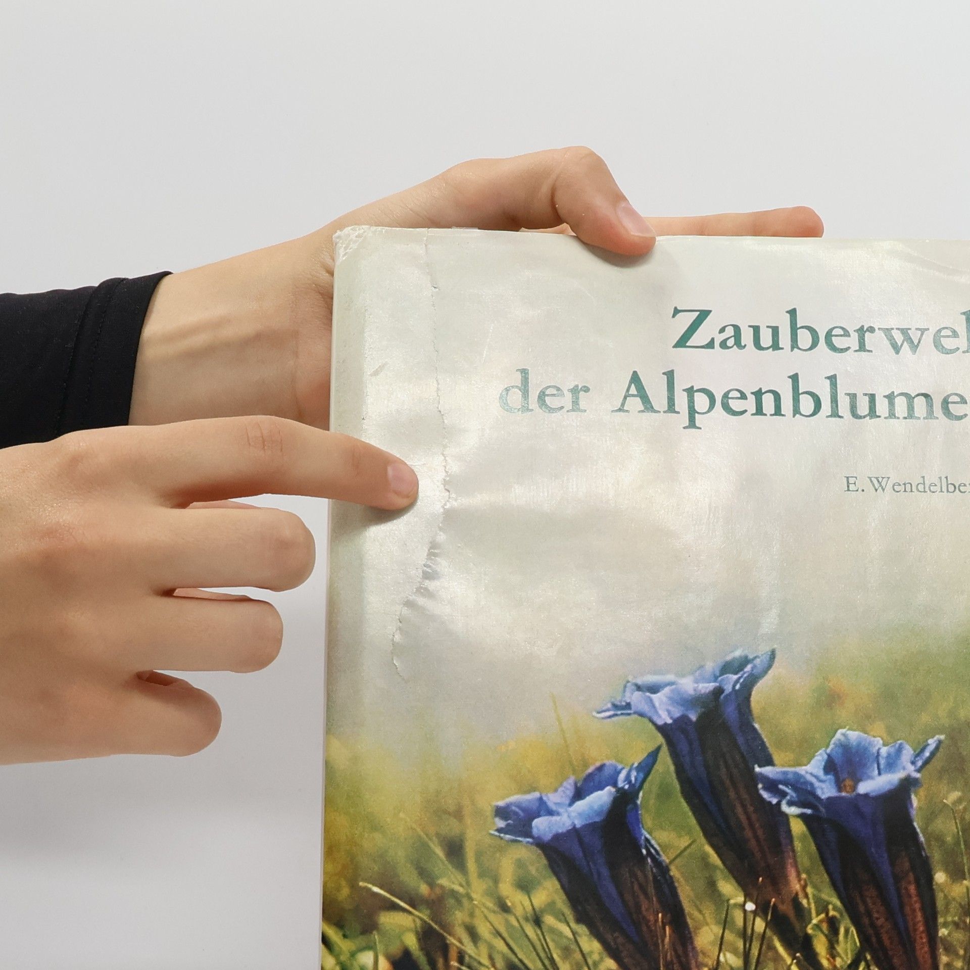 Kolektív autorov Zauberwelt der Alpenblumen
