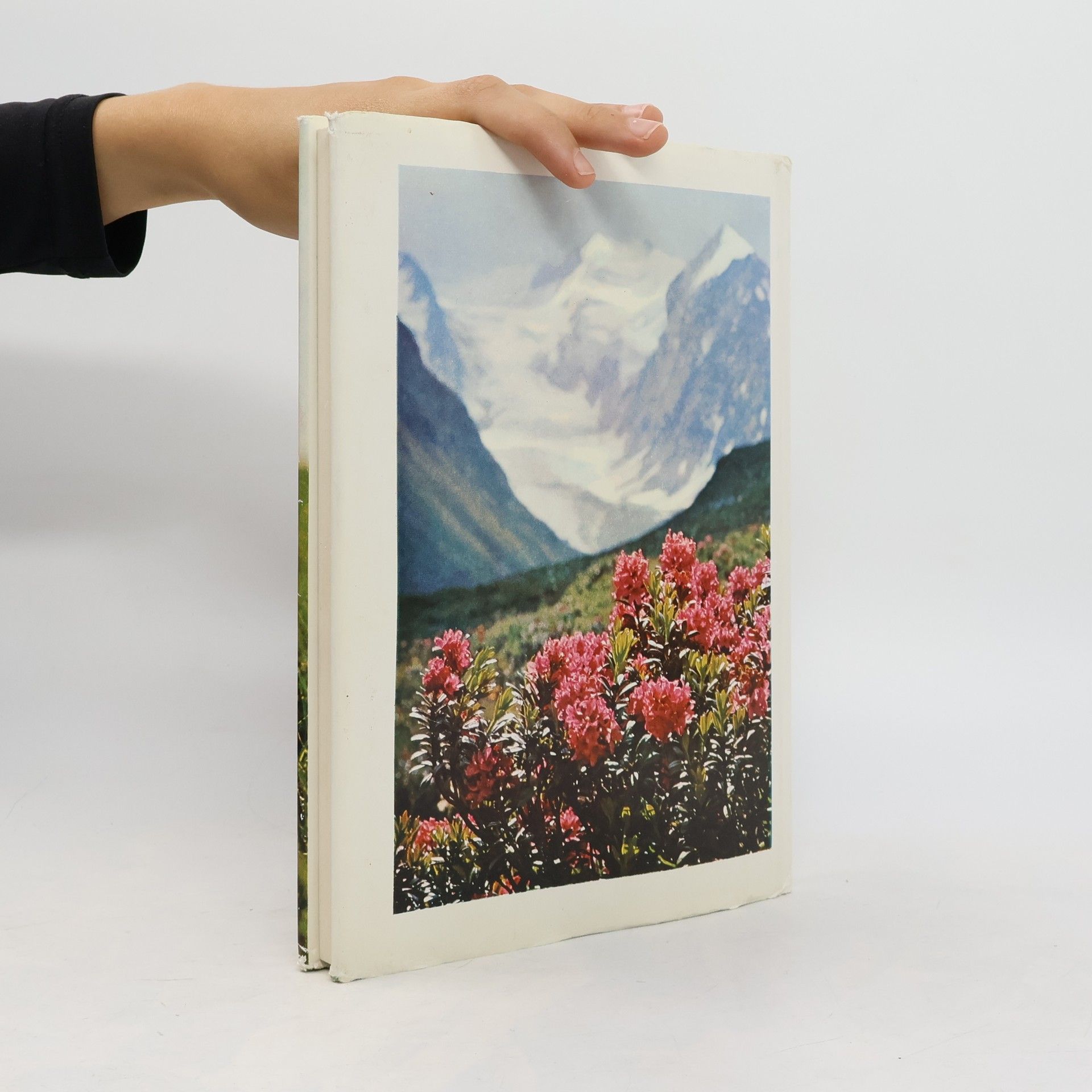 Kolektív autorov Zauberwelt der Alpenblumen
