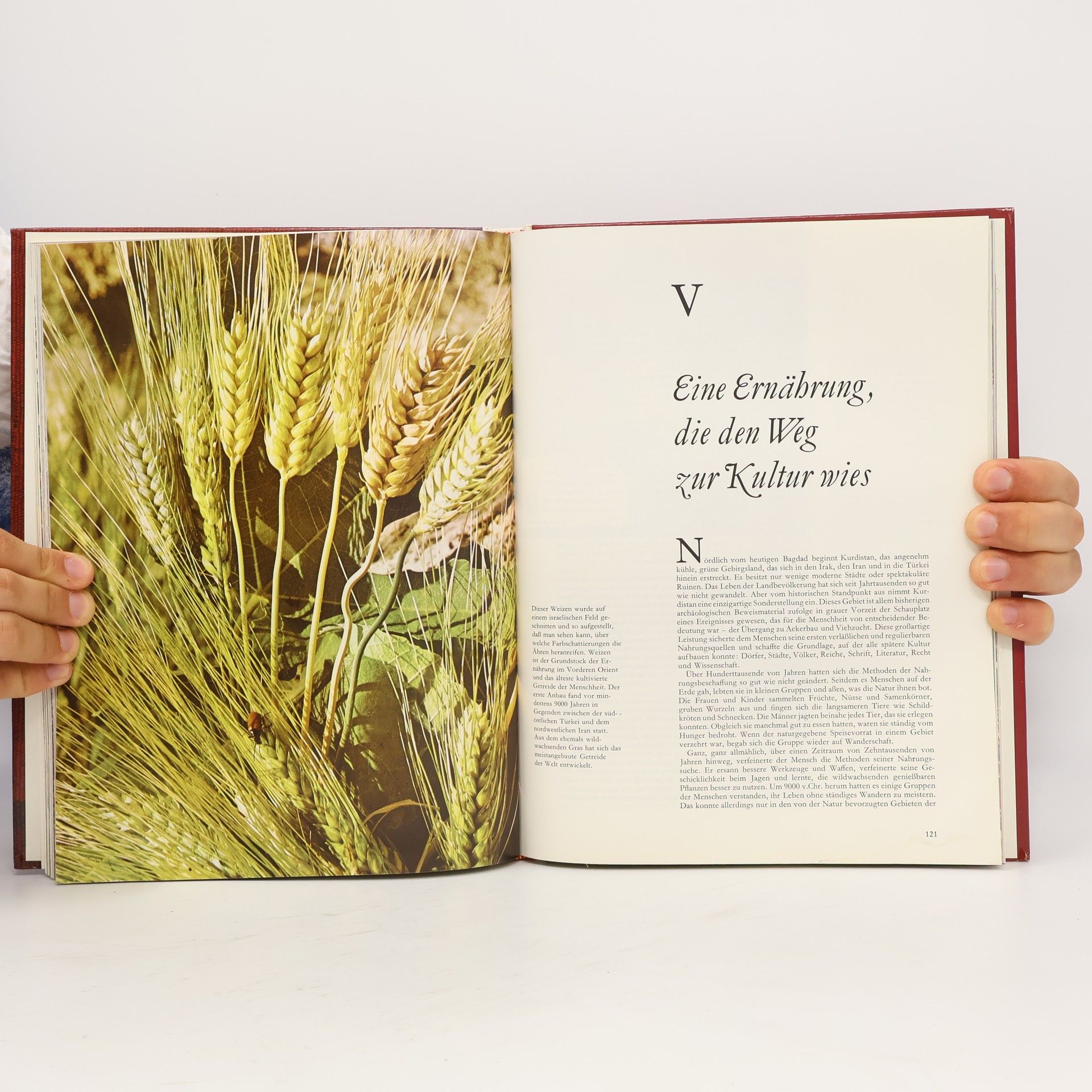 Autorenkollektiv Rezepte. Die Küche des Vorderen Orient
