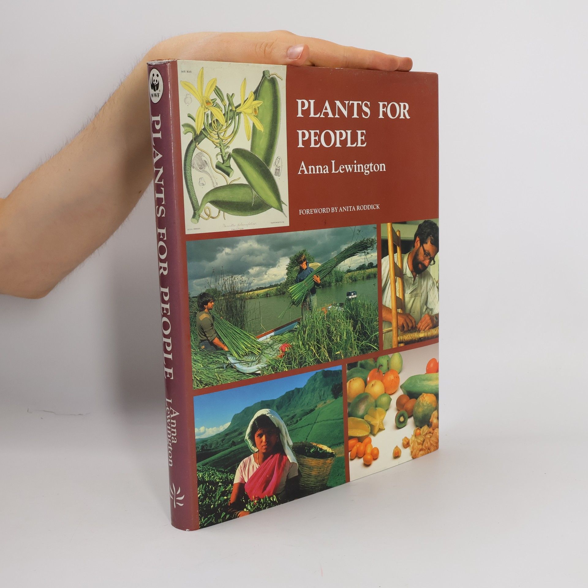 Anna Lewington Plants for People