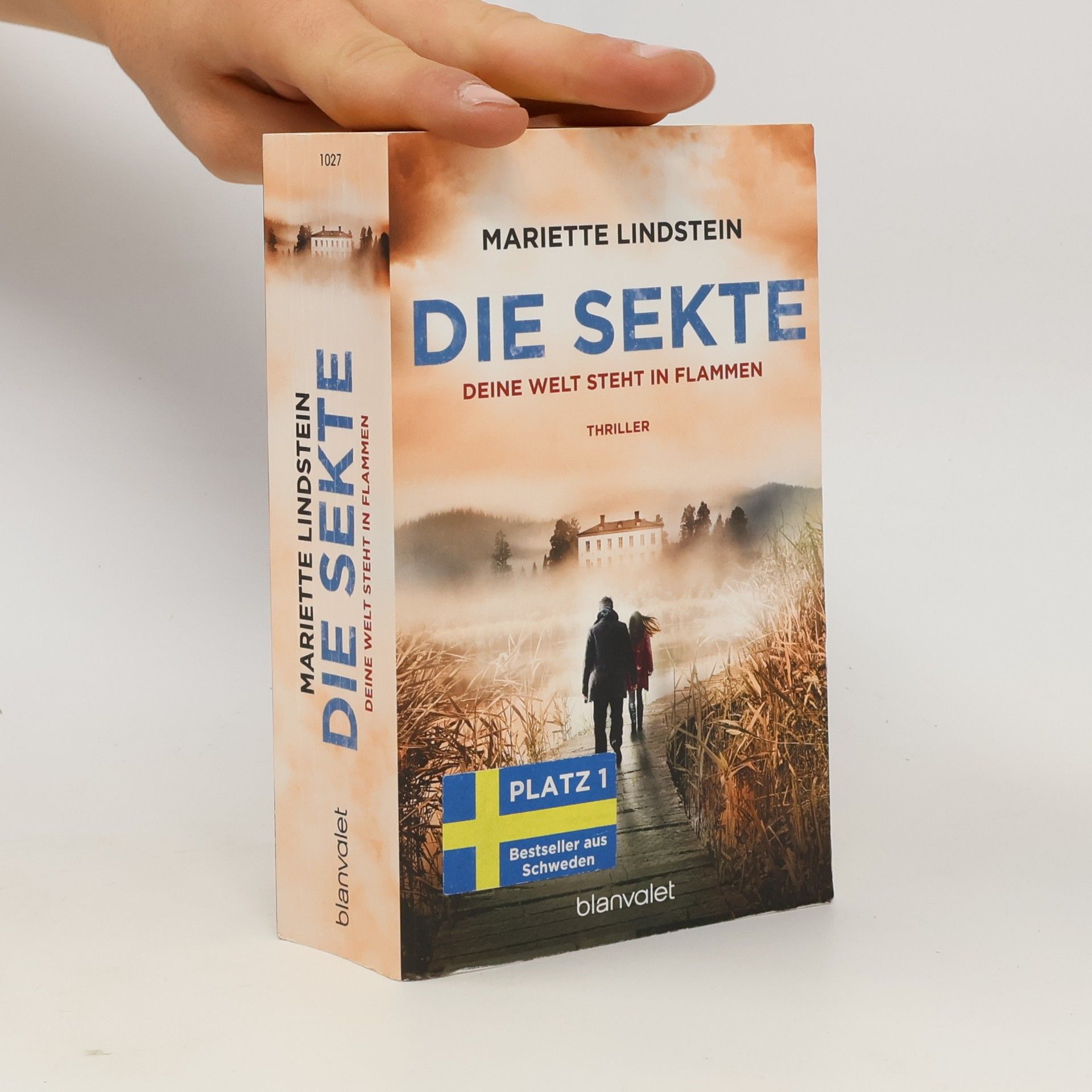 Mariette Lindstein Die Sekte: Deine Welt steht in Flammen
