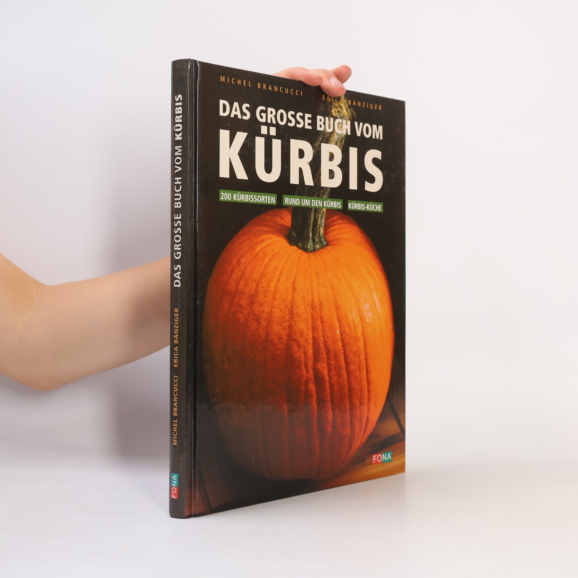 Michel Brancucci Das grosse Buch vom Kürbis