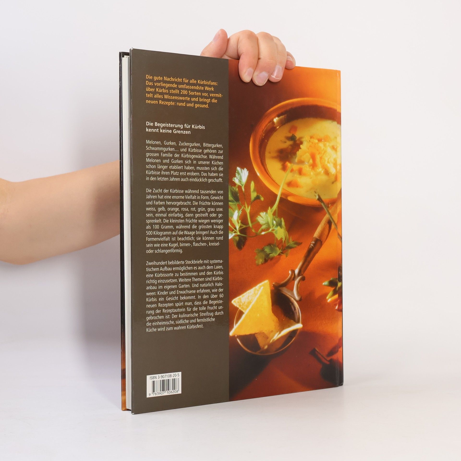 Michel Brancucci Das grosse Buch vom Kürbis