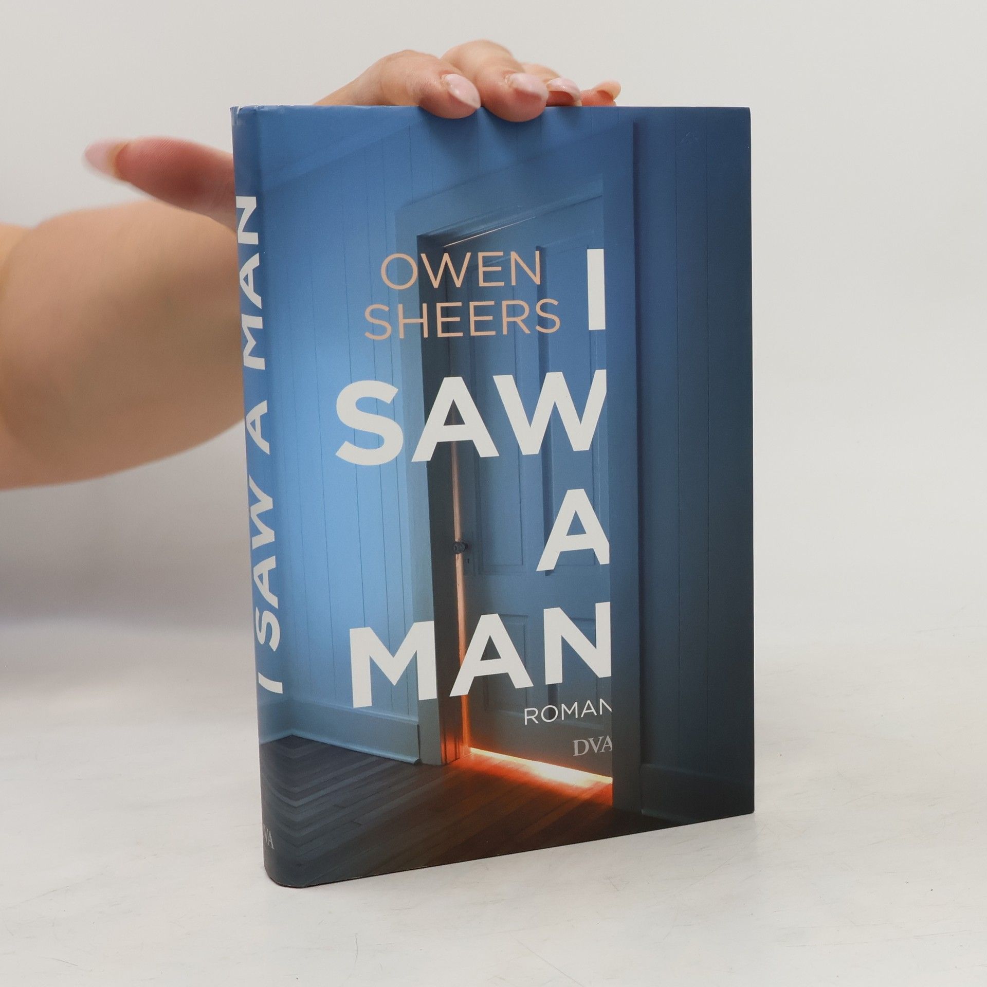 Owen Sheers I Saw a Man