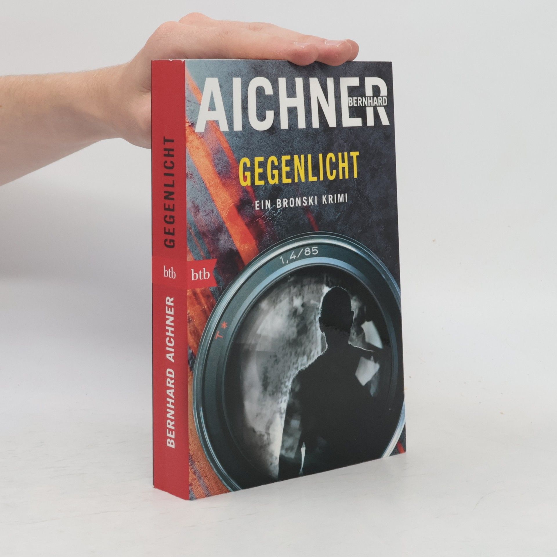 Bernhard Aichner Gegenlicht