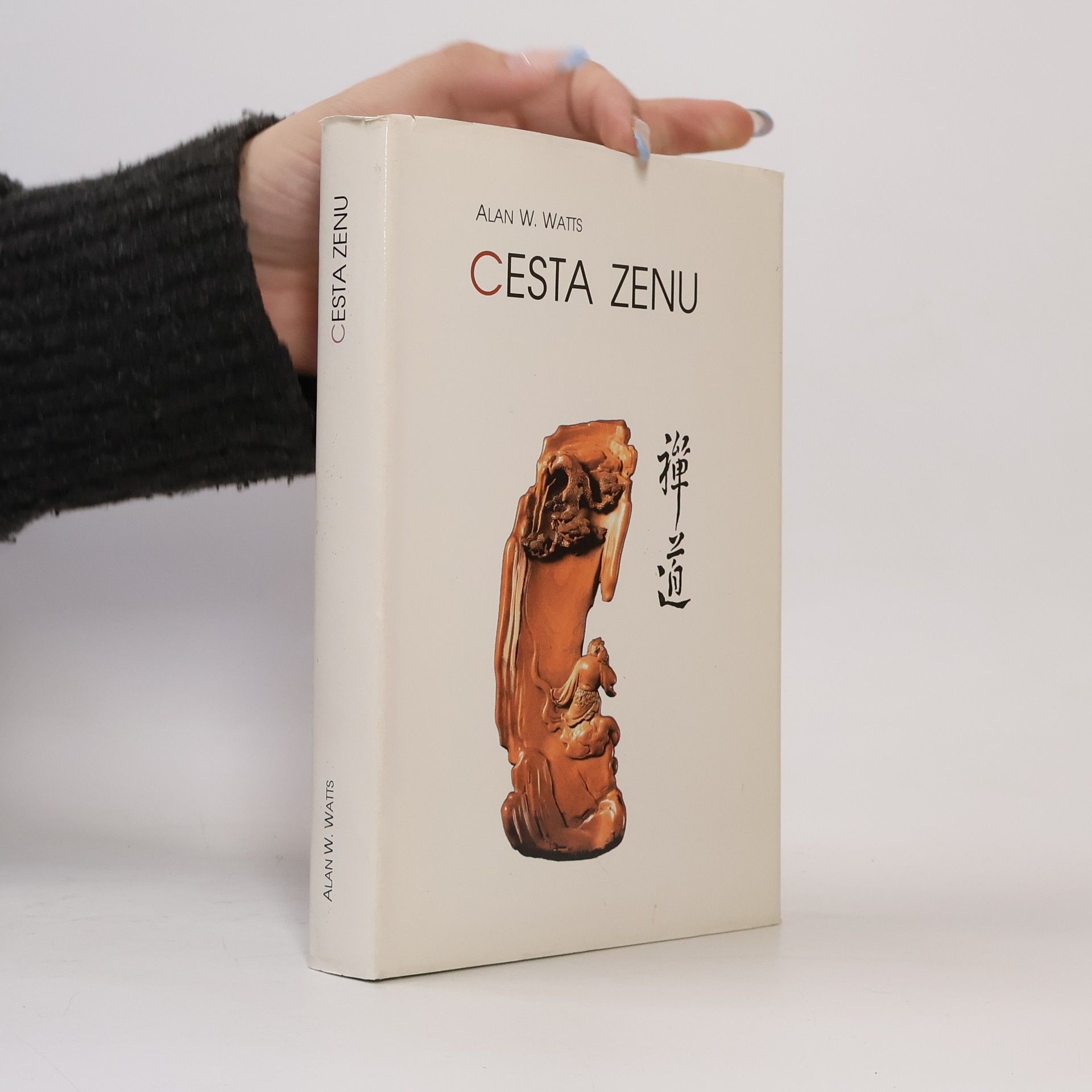 Alan Watts Cesta zenu