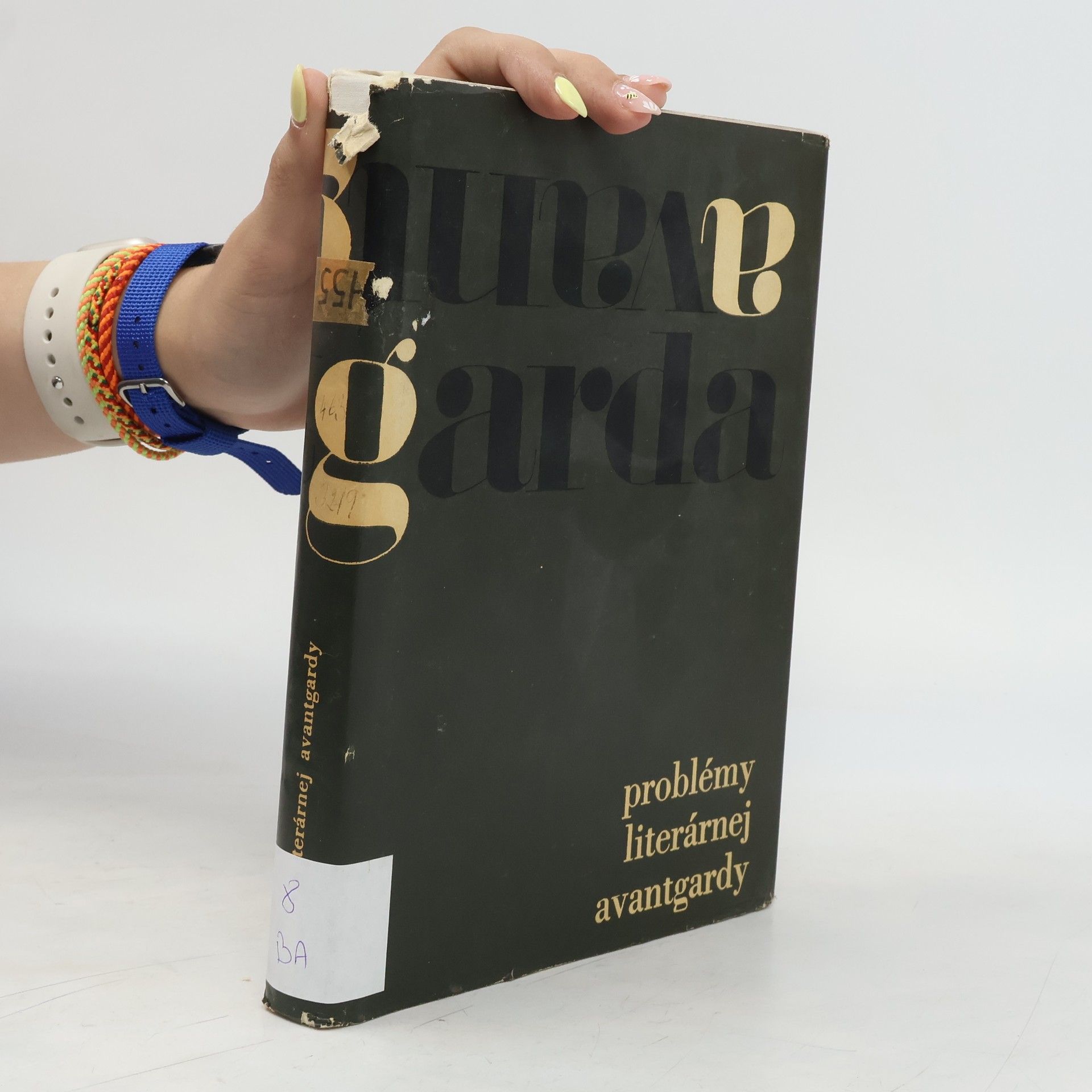 Autorenkollektiv Problémy literárnej avantgardy