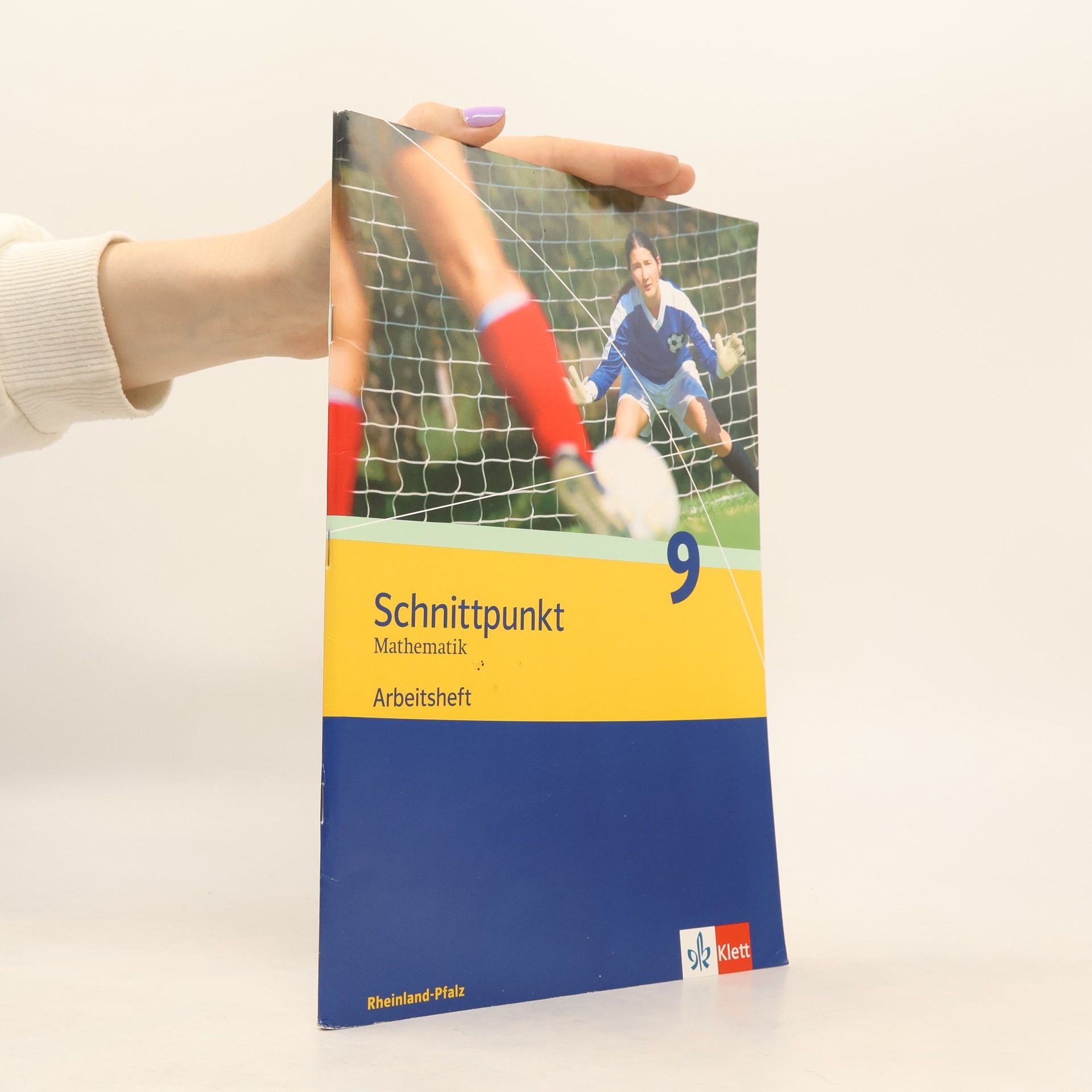 Schnittpunkt - Mathematik für Realschulen 9