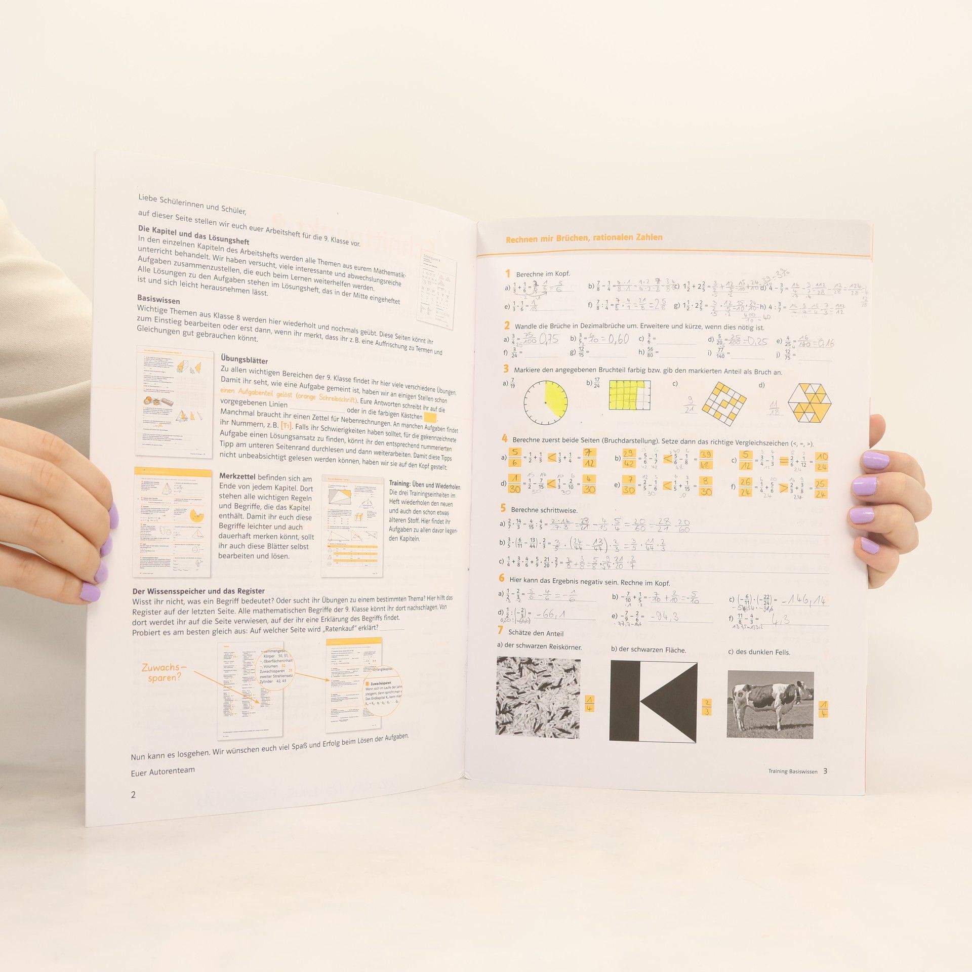 Matthias Dorn Schnittpunkt - Mathematik für Realschulen 9