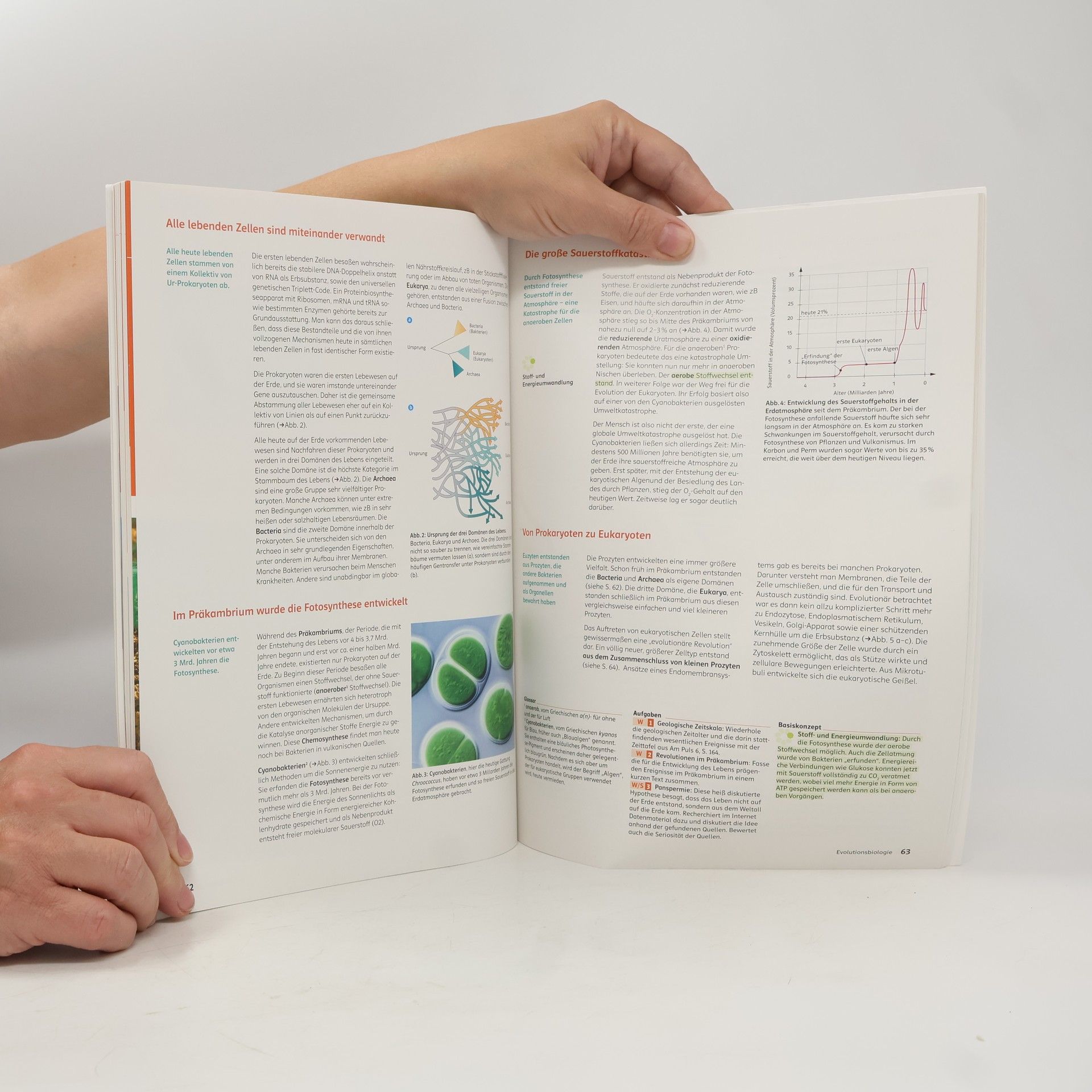Michel Fleck Am Puls Biologie 8, Schülerbuch + E-Book