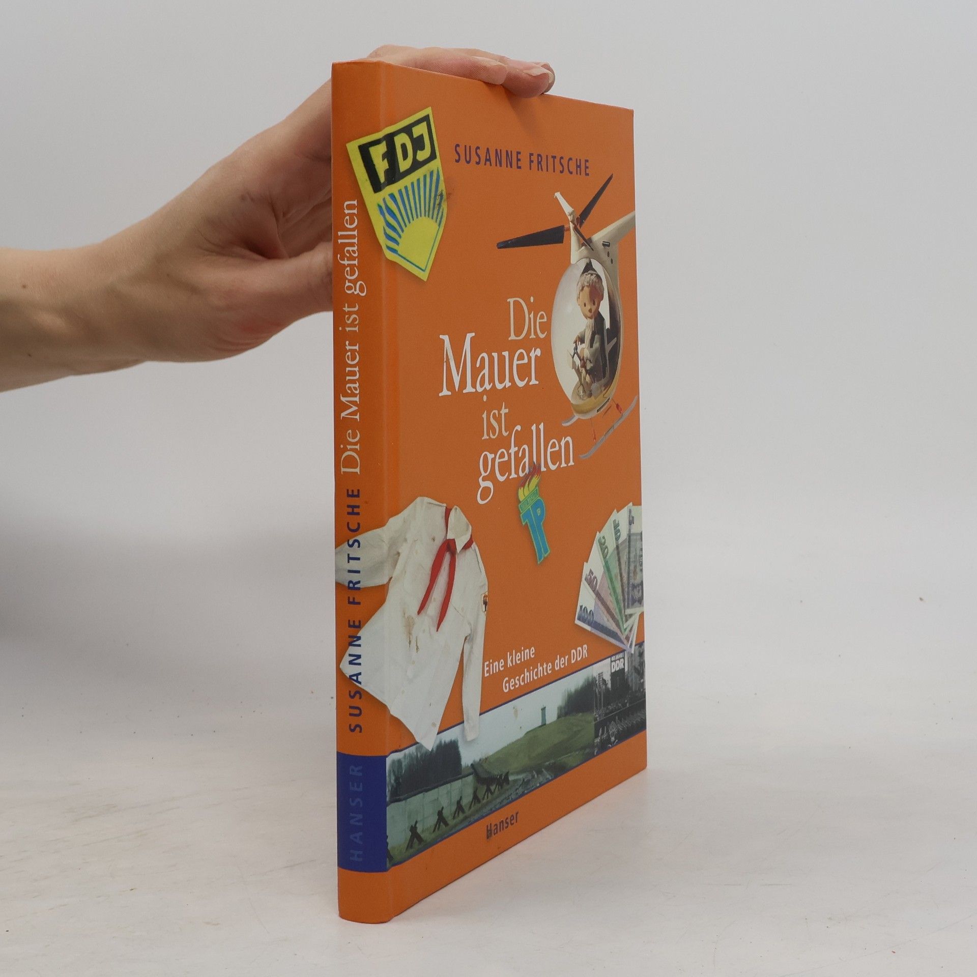 Susanne Fritsche Die Mauer ist gefallen