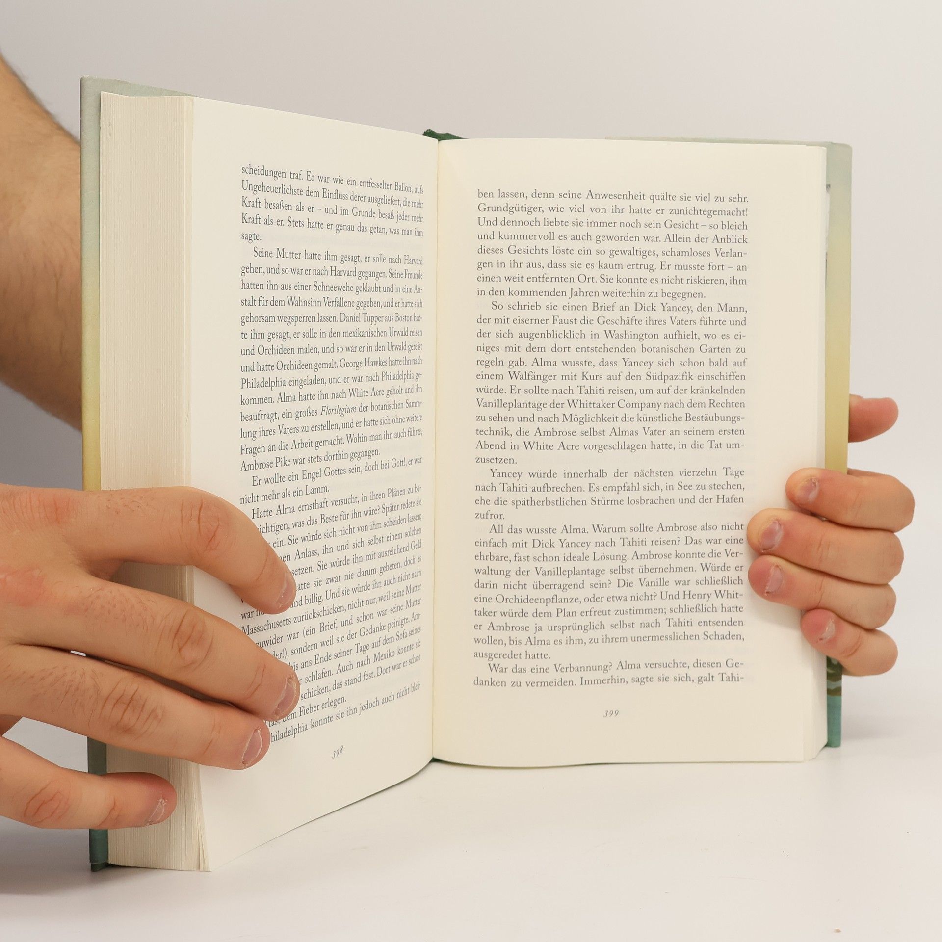 Elizabeth Gilbert Das Wesen der Dinge und der Liebe