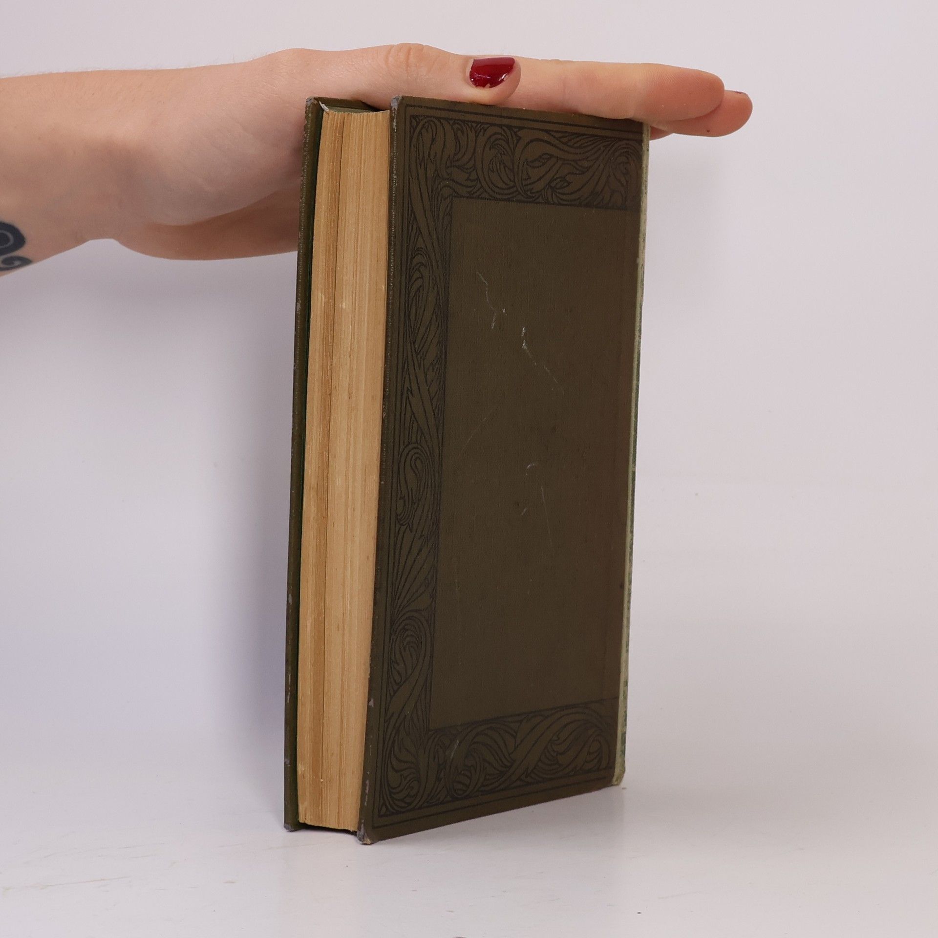 Johann Wolfgang von Goethe Goethes Werke 23