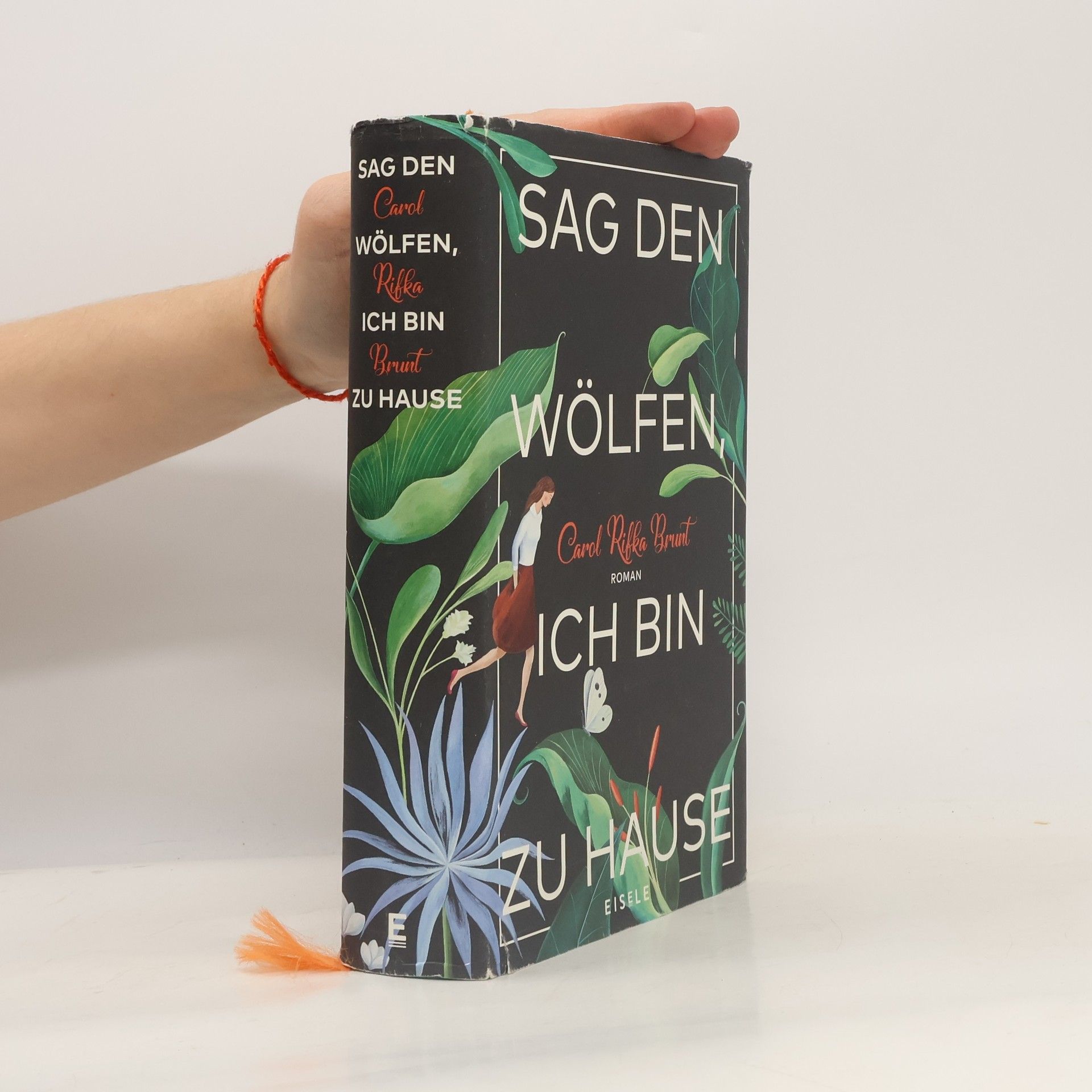 Carol Rifka Brunt Sag den Wölfen, ich bin zu Hause