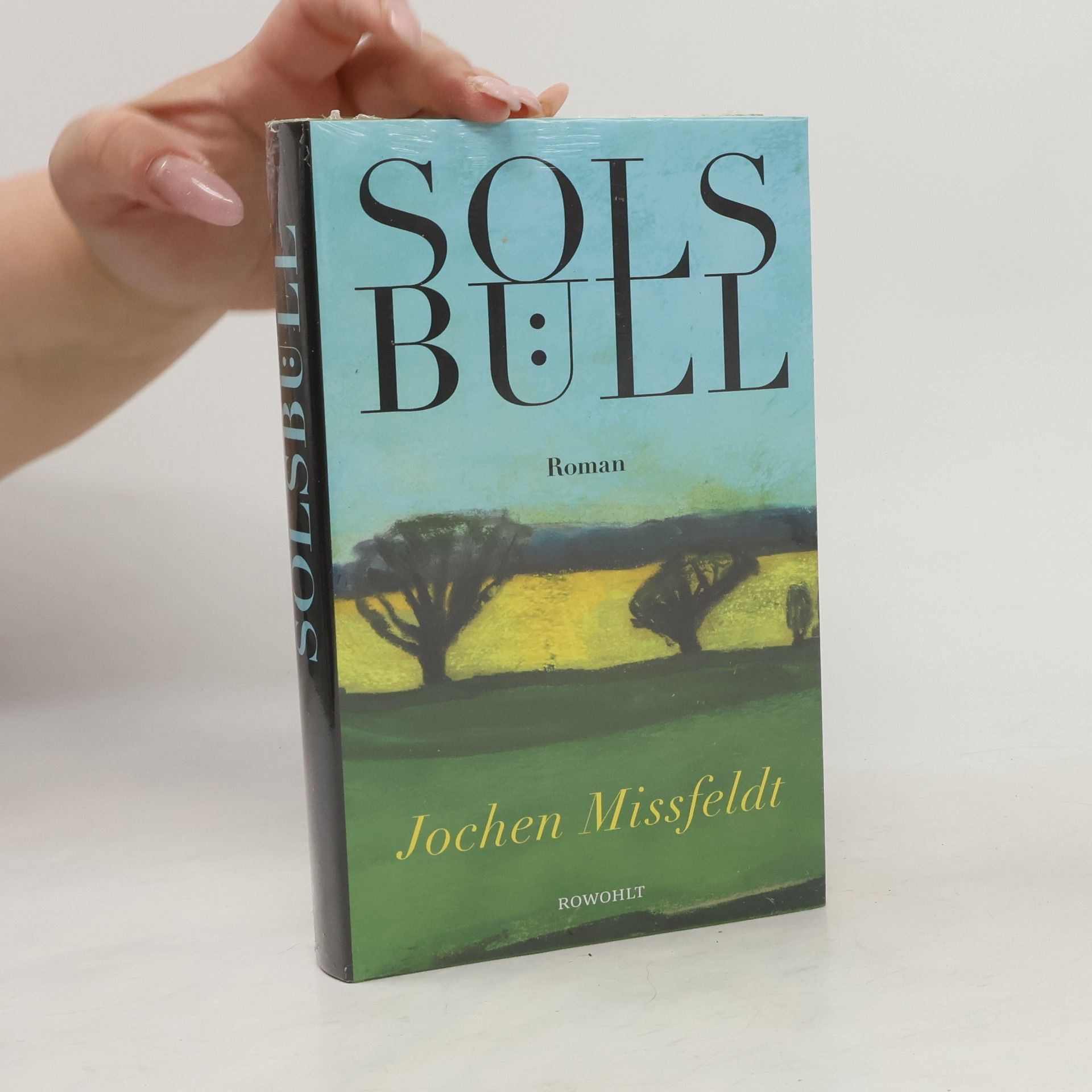 Solsbüll