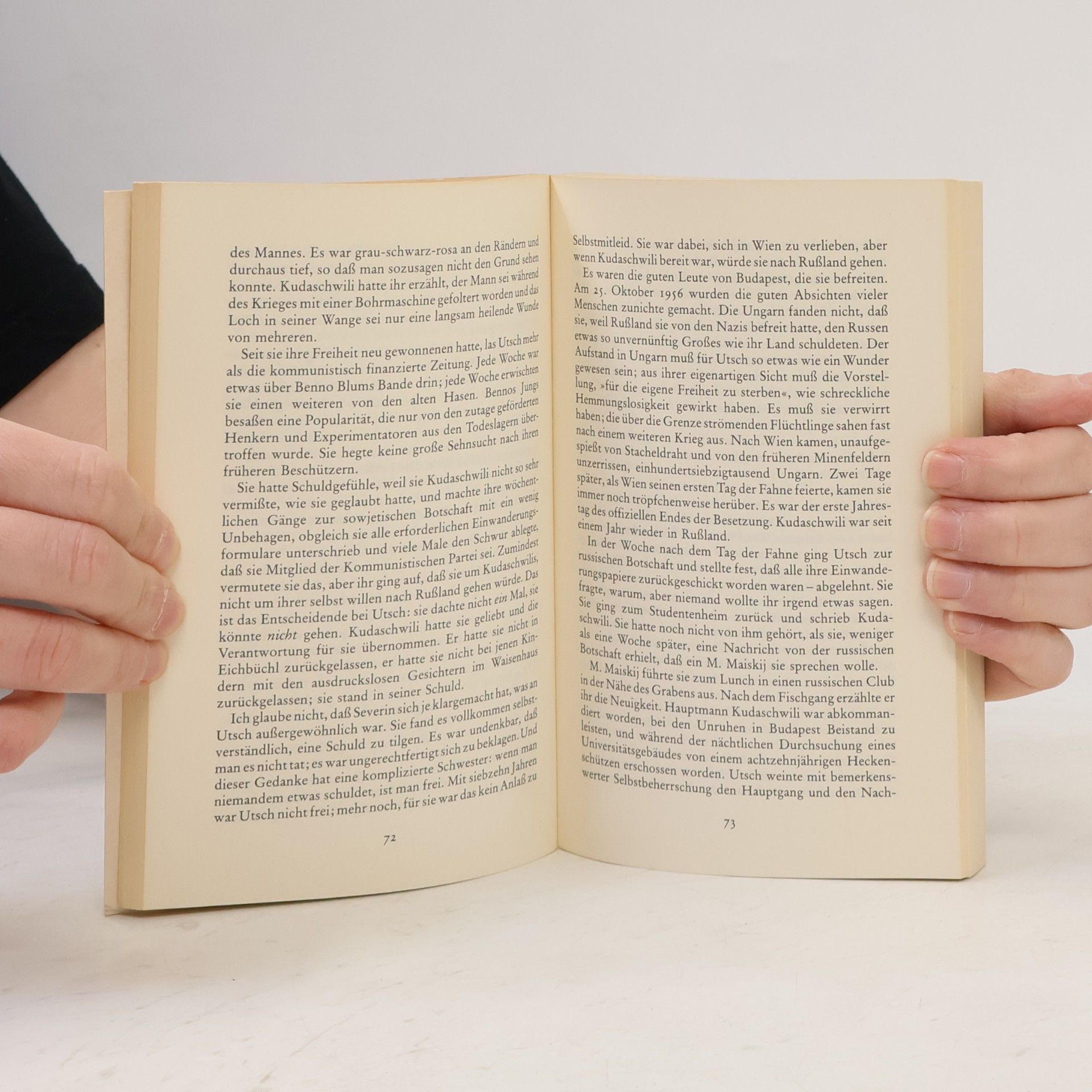 John Irving Eine Mittelgewichtsehe