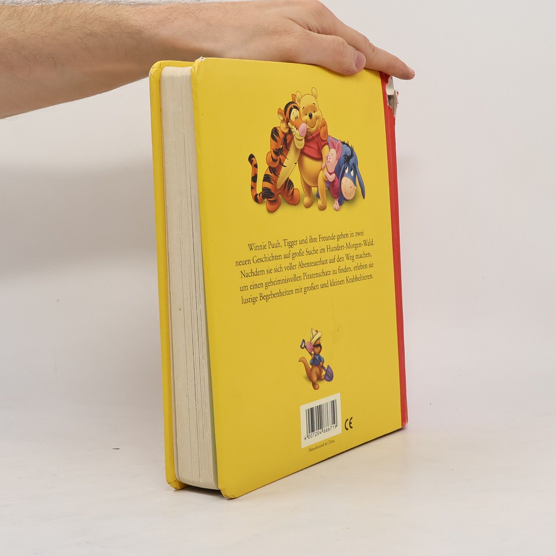 Autorenkollektiv Der Piratenschatz
