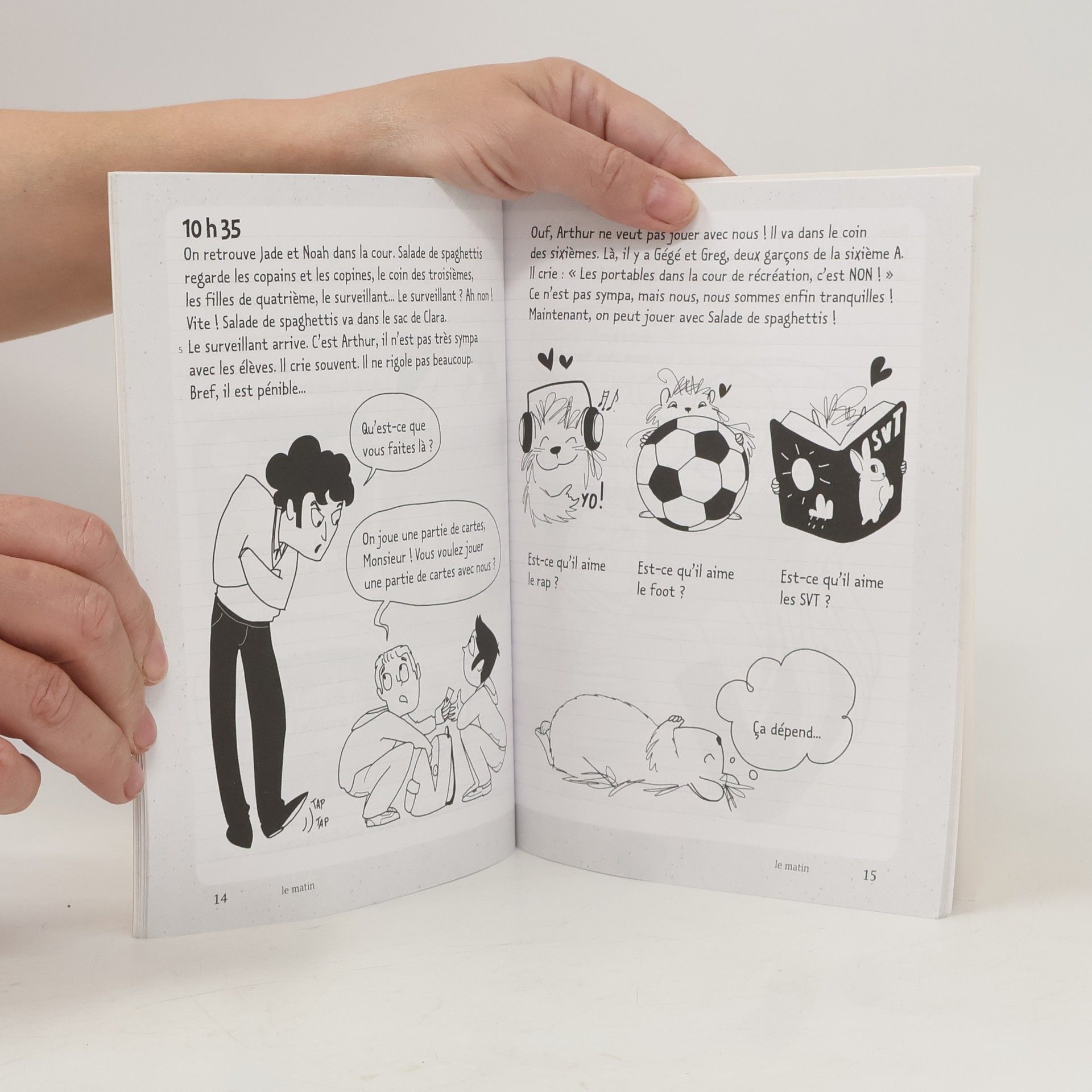 Catherine Grabowski Le journal de Théo. Un hamster au collège