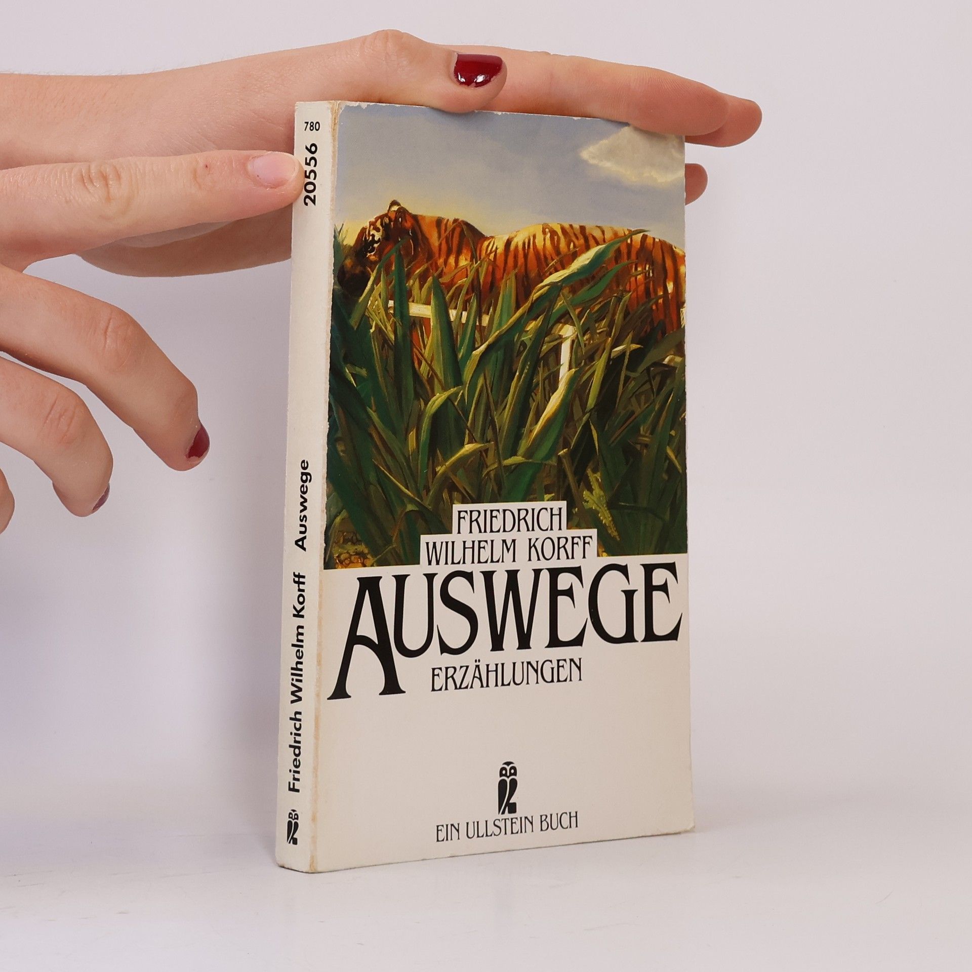 Friedrich Wilhelm Korff Auswege