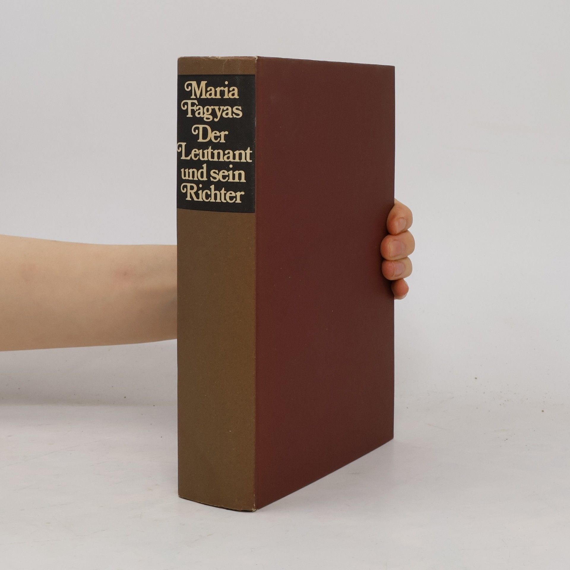 Maria Fagyas Der Leutnant und sein Richter