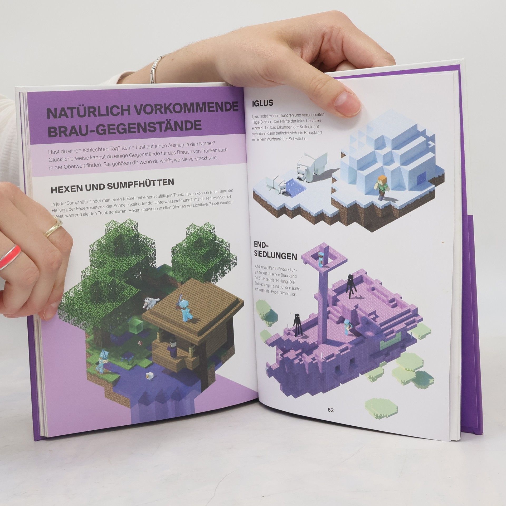 Stephanie Milton Minecraft - Handbuch für Zauber und Tränke