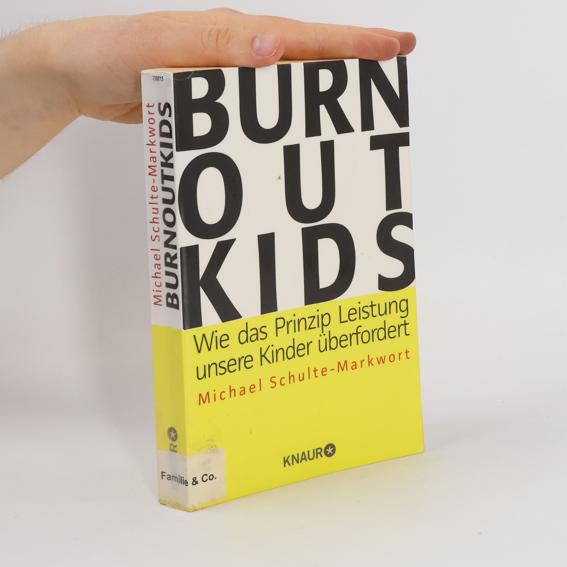 Michael Schulte Markwort Burnout-Kids