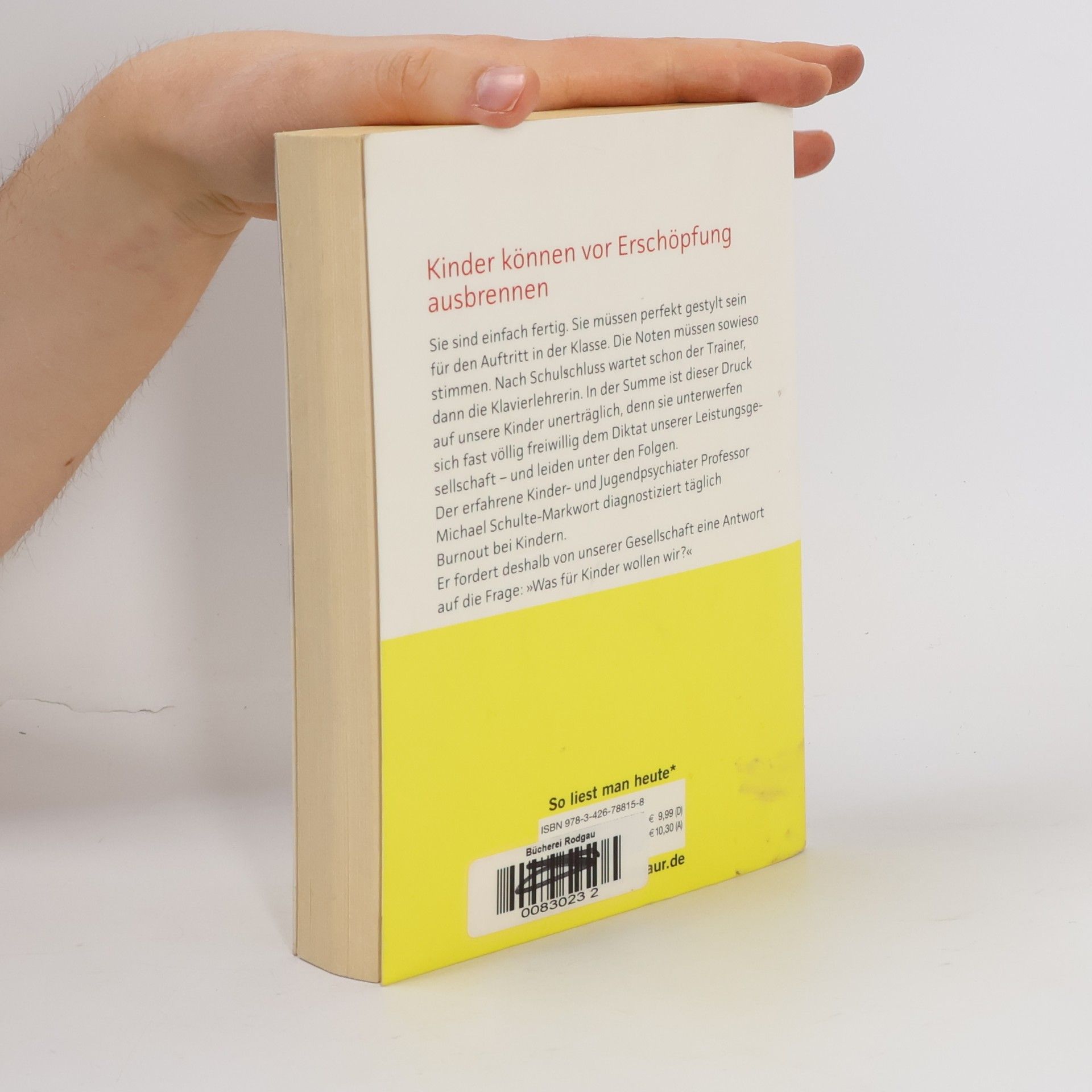 Michael Schulte Markwort Burnout-Kids