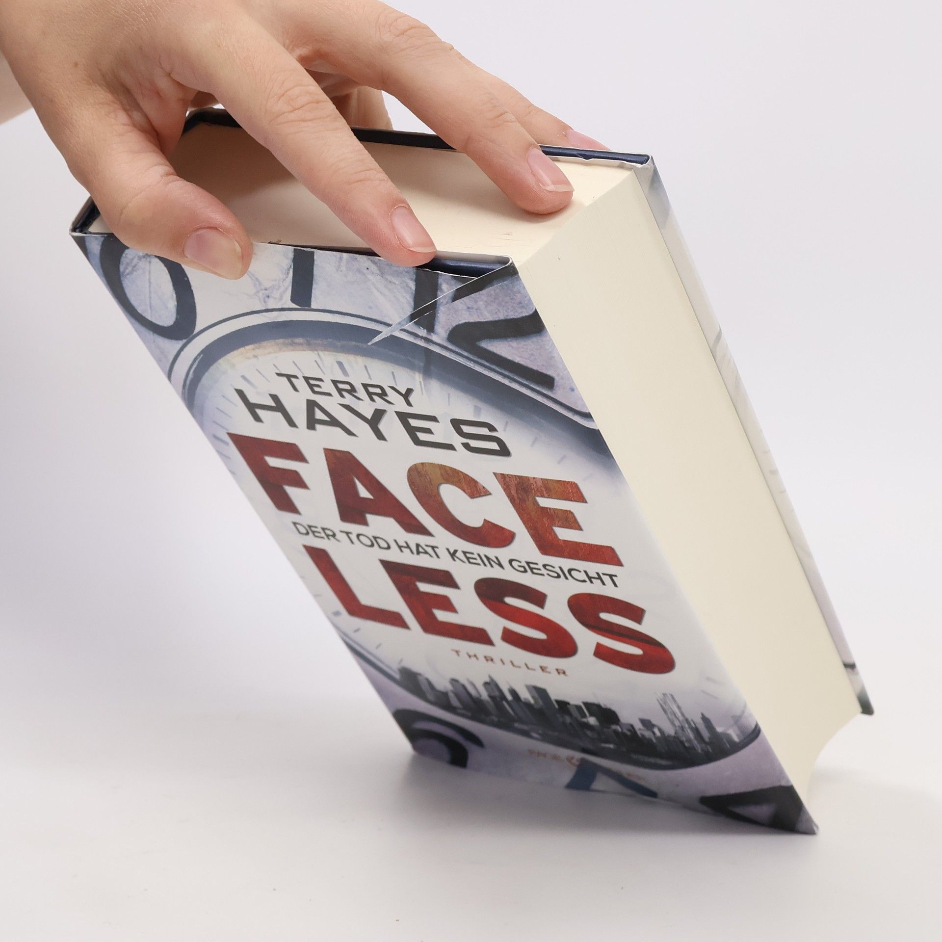 Terry Hayes Faceless