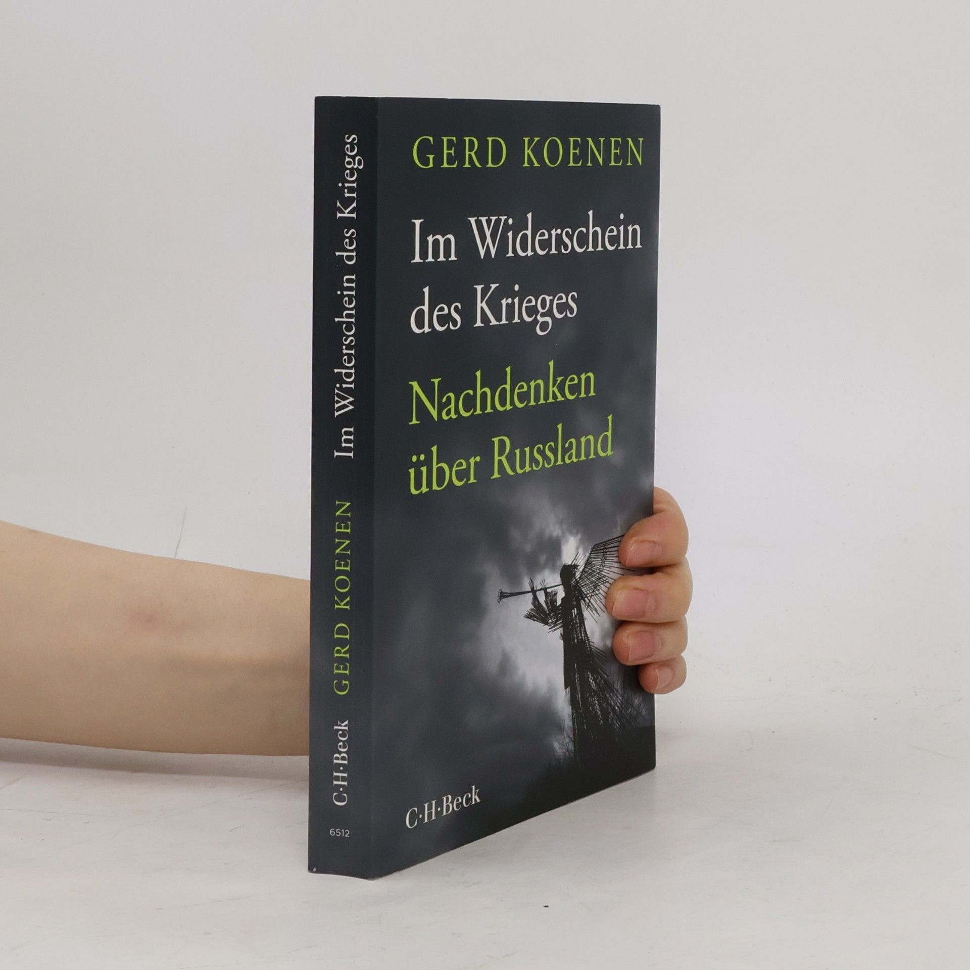 Im Widerschein des Krieges