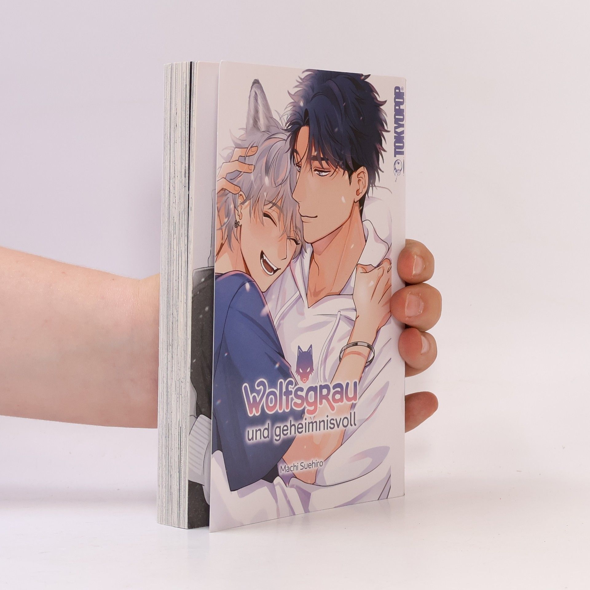 Machi Suehiro Wolfsgrau und geheimnisvoll