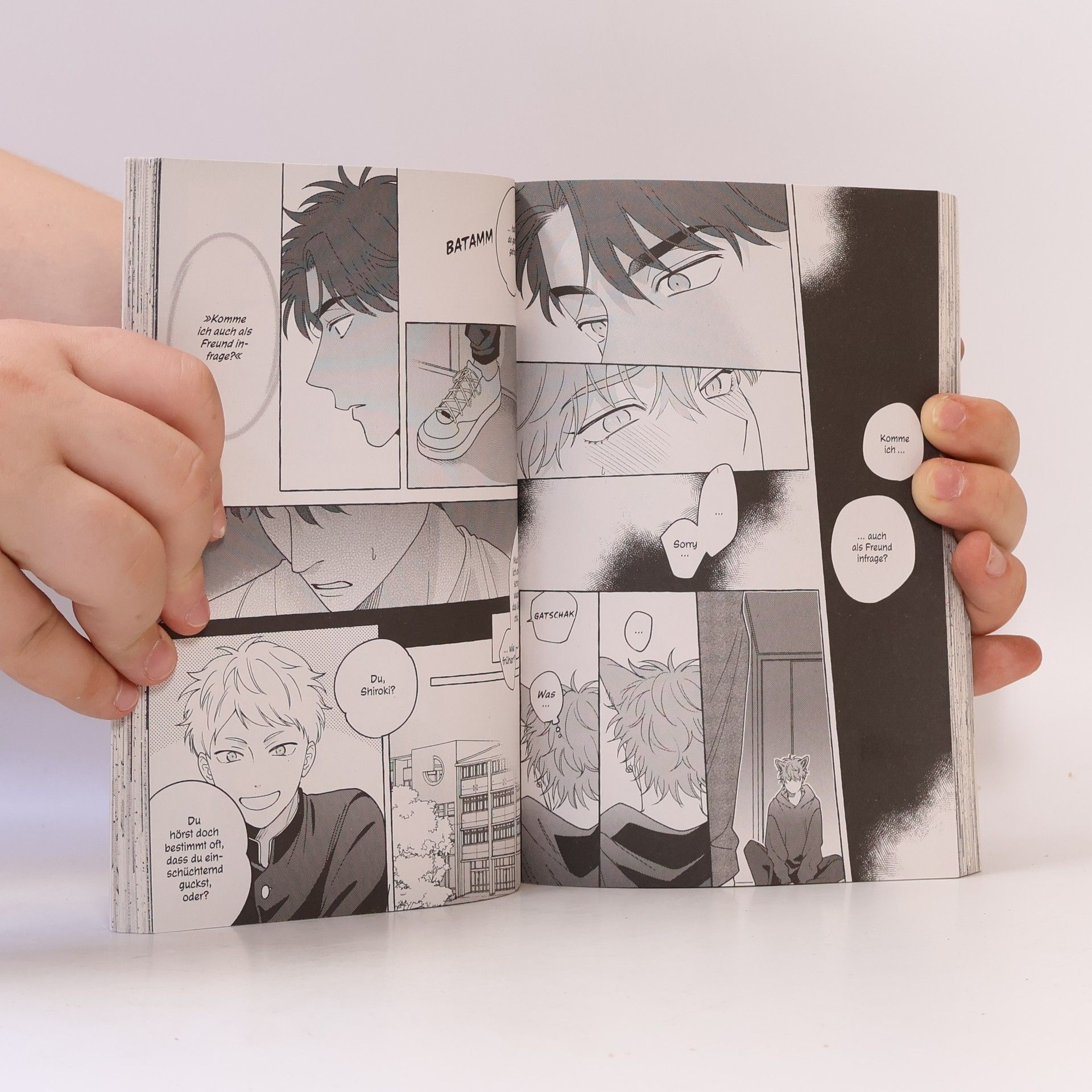 Machi Suehiro Wolfsgrau und geheimnisvoll