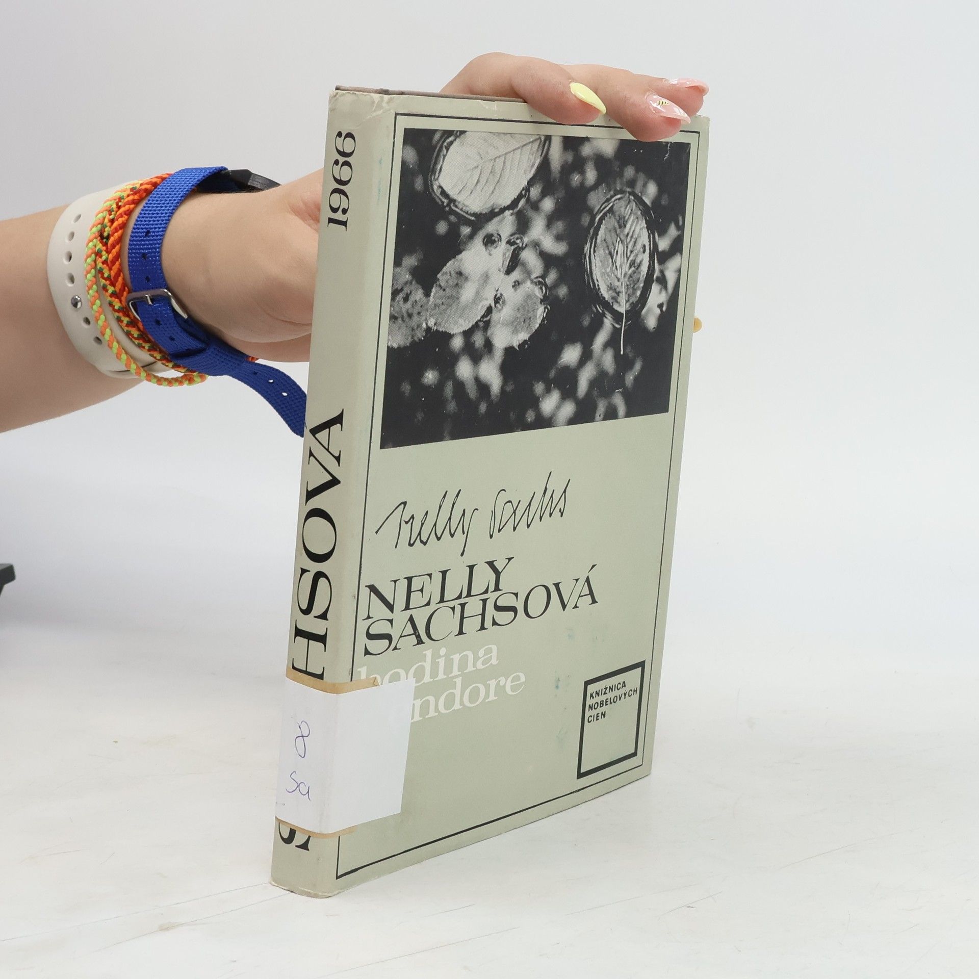 Nelly Sachs Hodina v endore