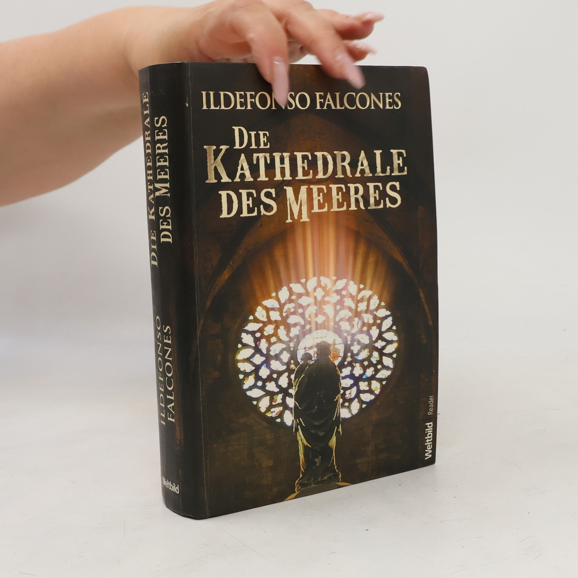 Ildefonso Falcones Die Kathedrale des Meeres
