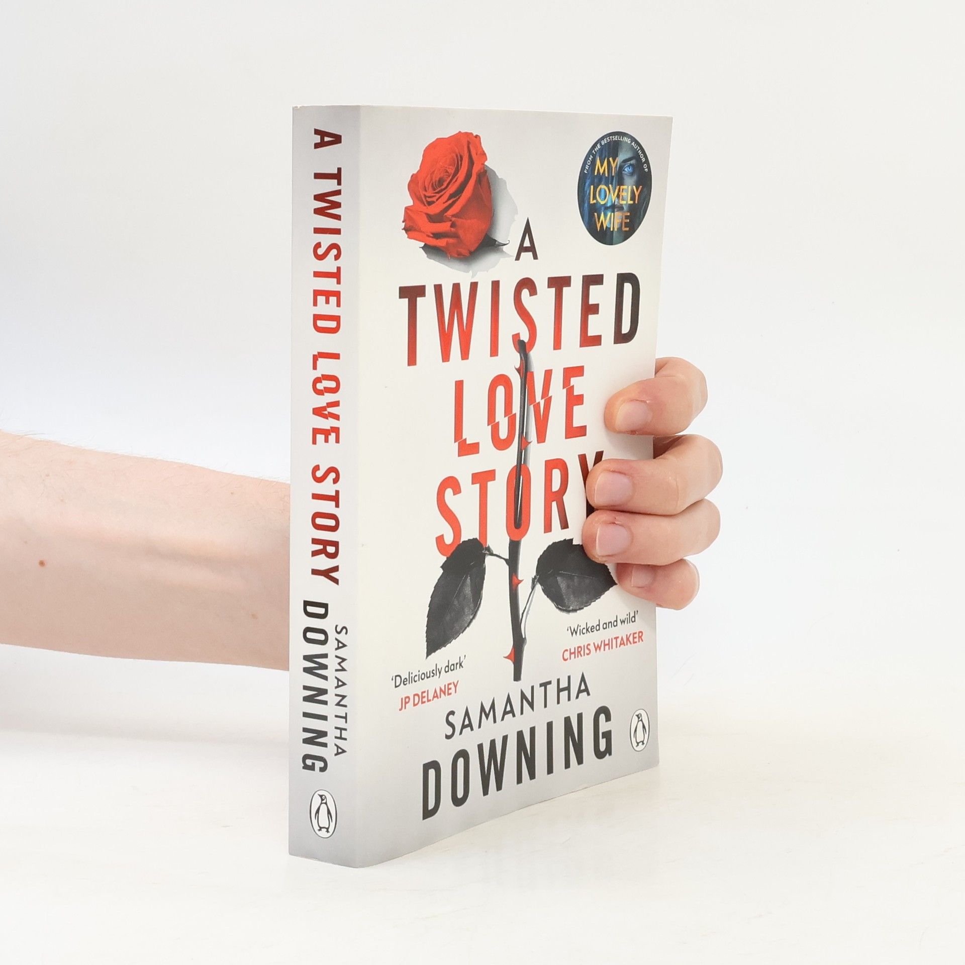 Samantha Downing A Twisted Love Story
